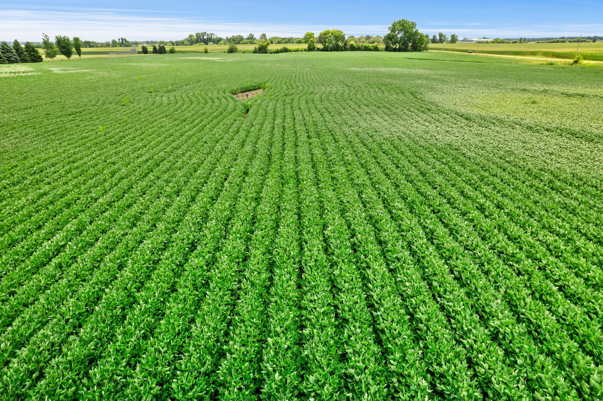 View of Land at 21300 Flagstaff Avenue, Farmington MN 55024, Farmington (20 of 28) - Mike Wilen | Minnesota Team Real Estate