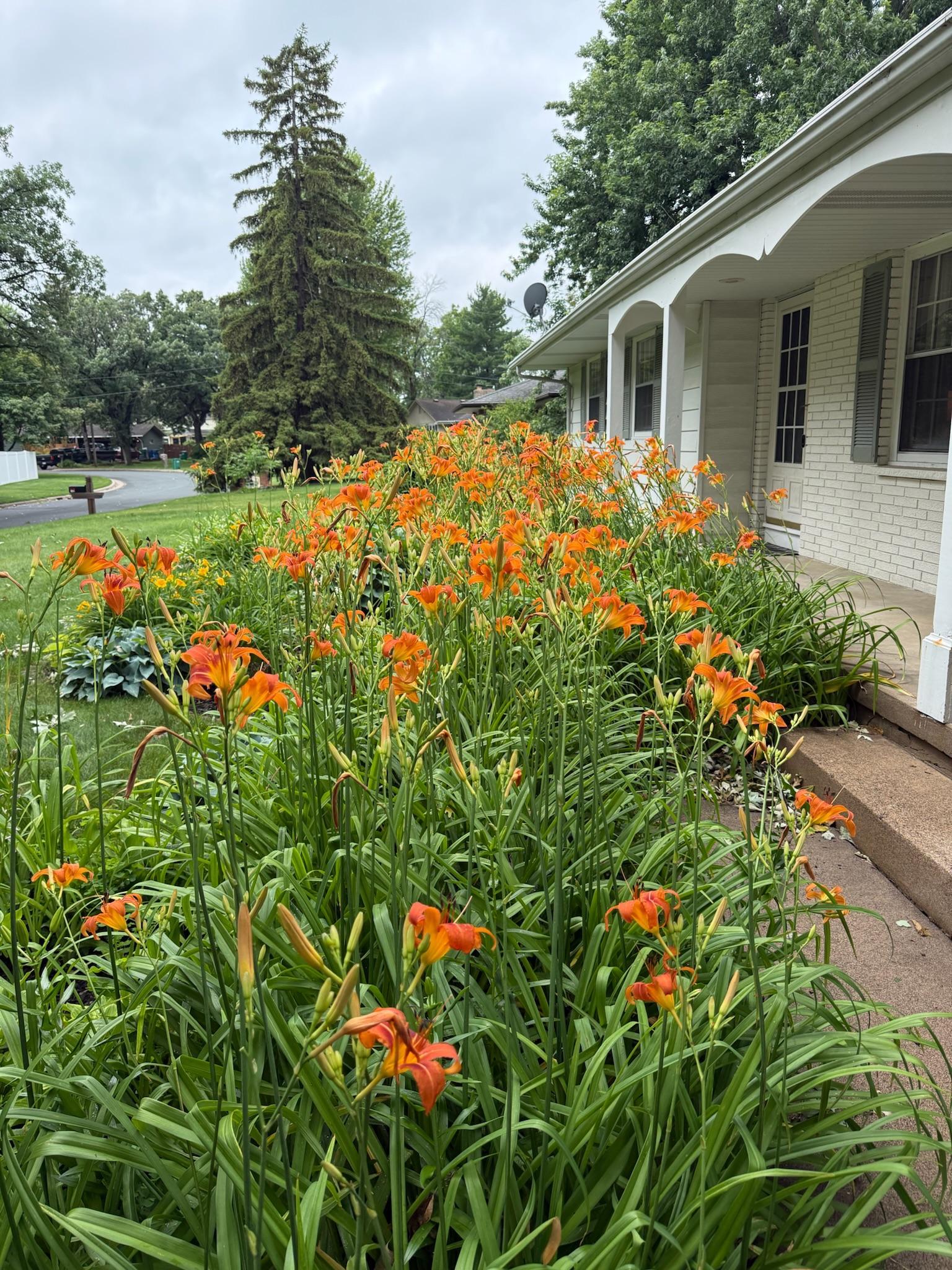 View of Residential at 133 Craig Way, Fridley MN 55432, Fridley (95 of 130) - Mike Wilen | Minnesota Team Real Estate