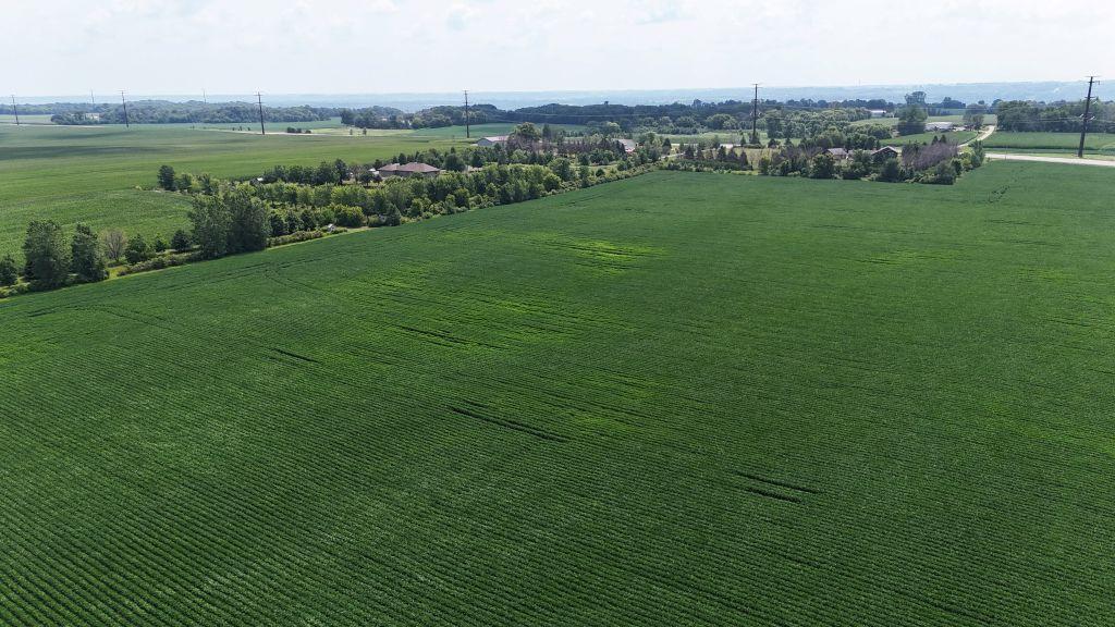 View of Land at TBD TBD, Belle Plaine MN 56011, Belle Plaine (6 of 9) - Mike Wilen | Minnesota Team Real Estate
