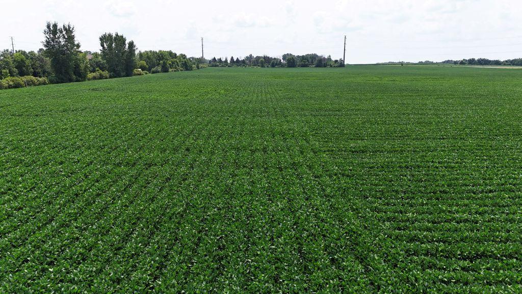 View of Land at TBD TBD, Belle Plaine MN 56011, Belle Plaine (9 of 9) - Mike Wilen | Minnesota Team Real Estate