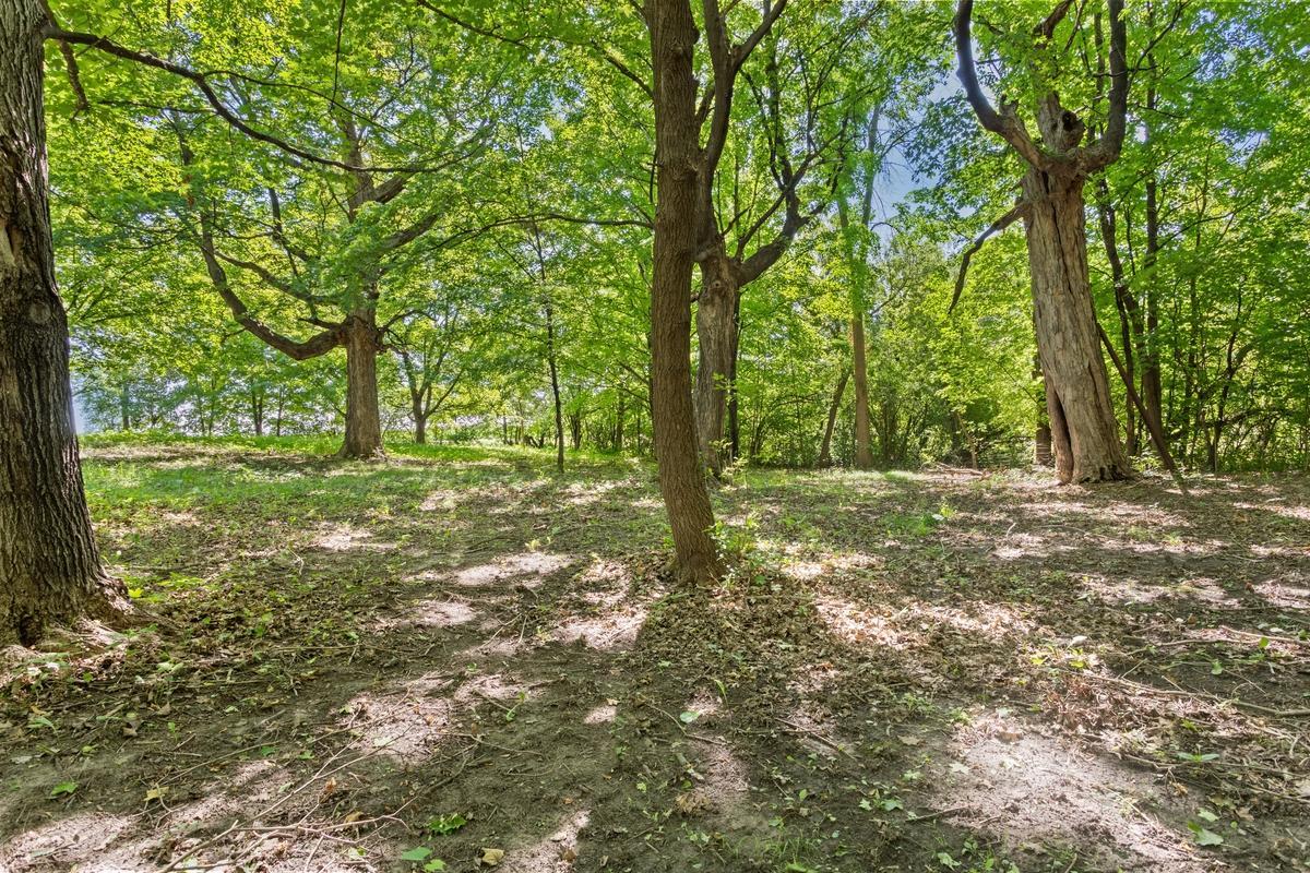 View of Land at TBD Gabler Avenue, Buffalo MN 55313, Buffalo (4 of 4) - Mike Wilen | Minnesota Team Real Estate