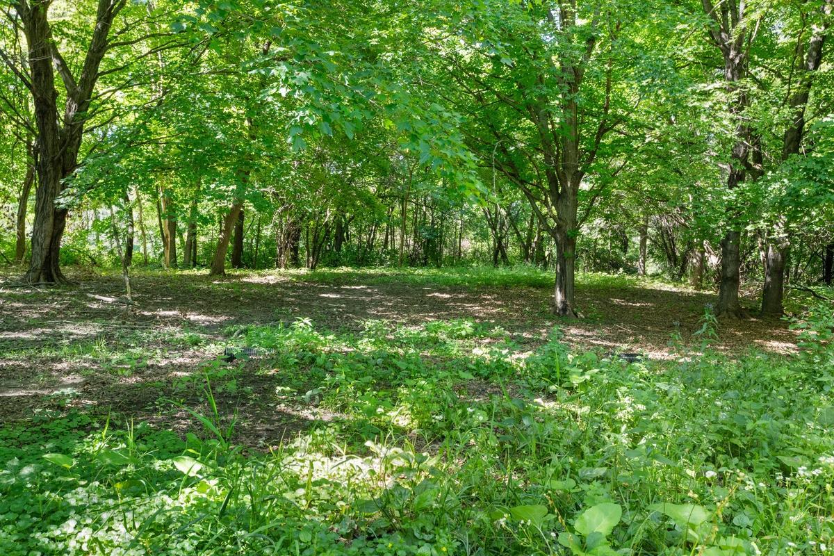 View of Land at TBD Gabler Avenue, Buffalo MN 55313, Buffalo (3 of 4) - Mike Wilen | Minnesota Team Real Estate