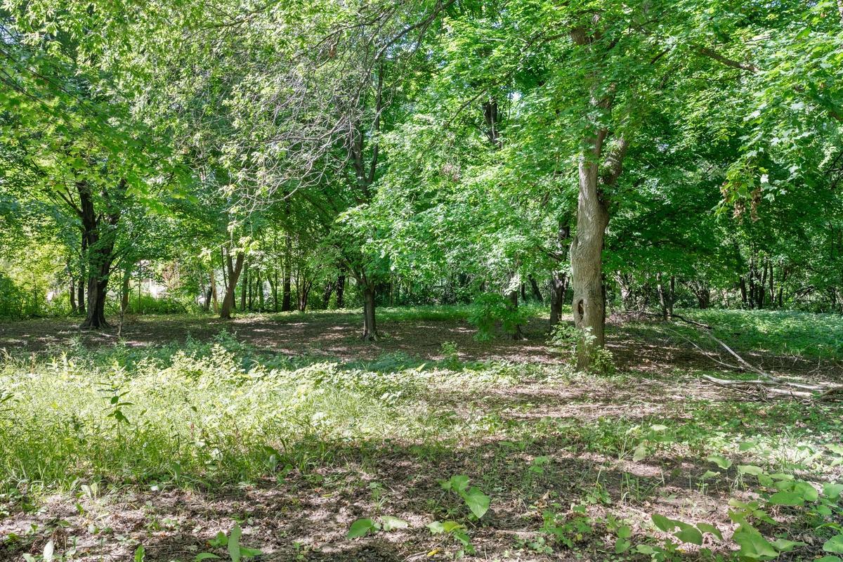 View of Land at TBD Gabler Avenue, Buffalo MN 55313, Buffalo (2 of 4) - Mike Wilen | Minnesota Team Real Estate