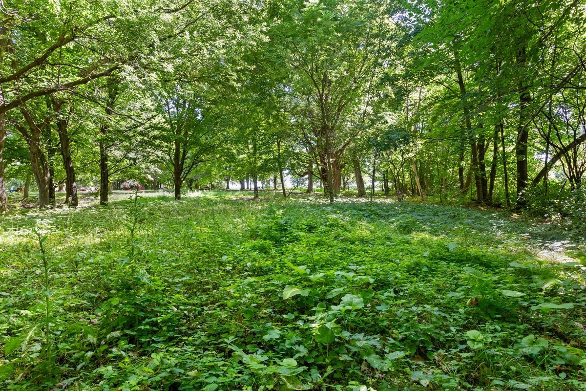 View of Residential at 3275 Gabler Avenue, Buffalo MN 55313, Buffalo (27 of 29) - Mike Wilen | Minnesota Team Real Estate
