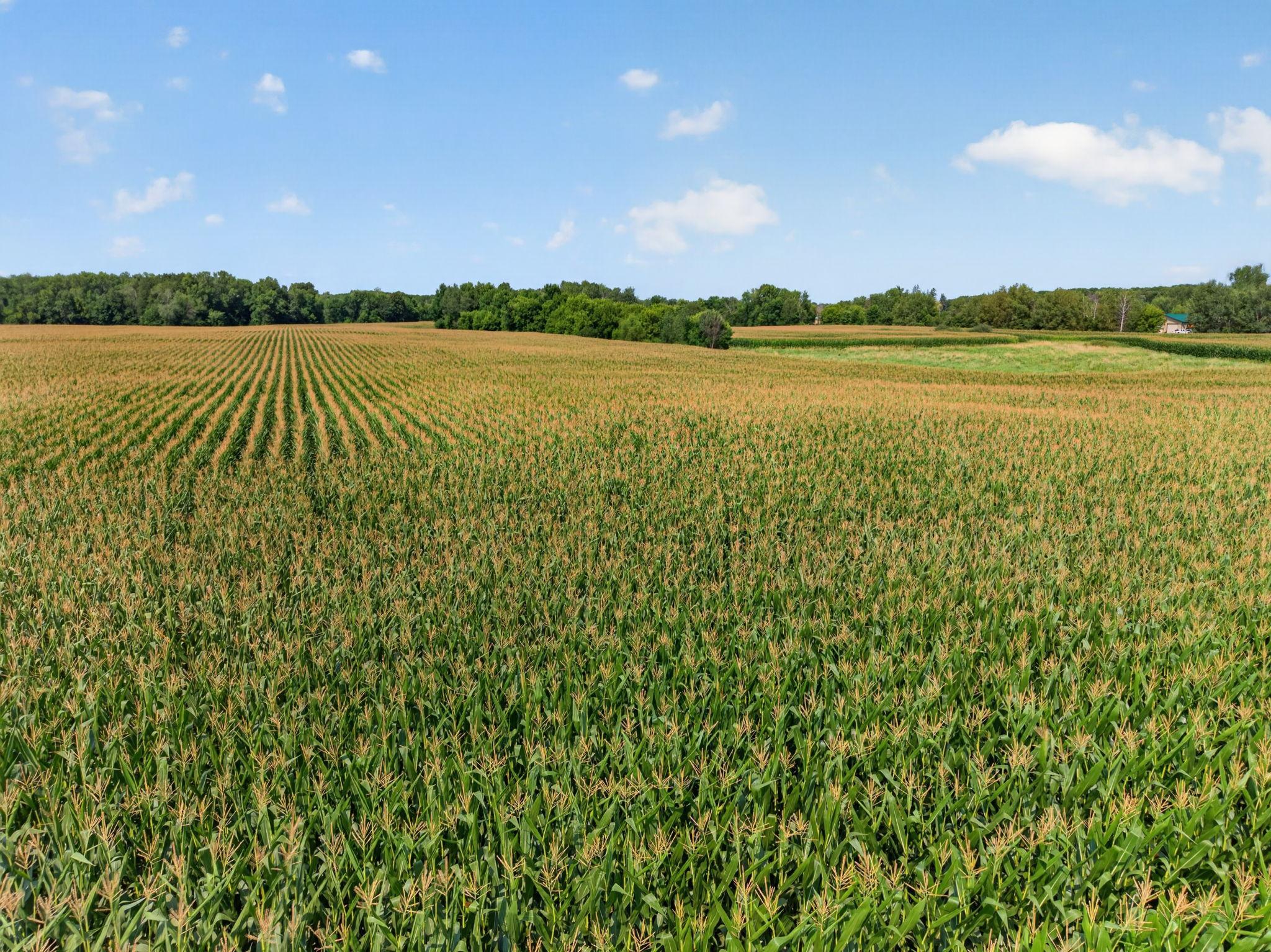 View of Land at 7xxx 373rd Avenue, Dalbo MN 55017, Dalbo (18 of 22) - Mike Wilen | Minnesota Team Real Estate