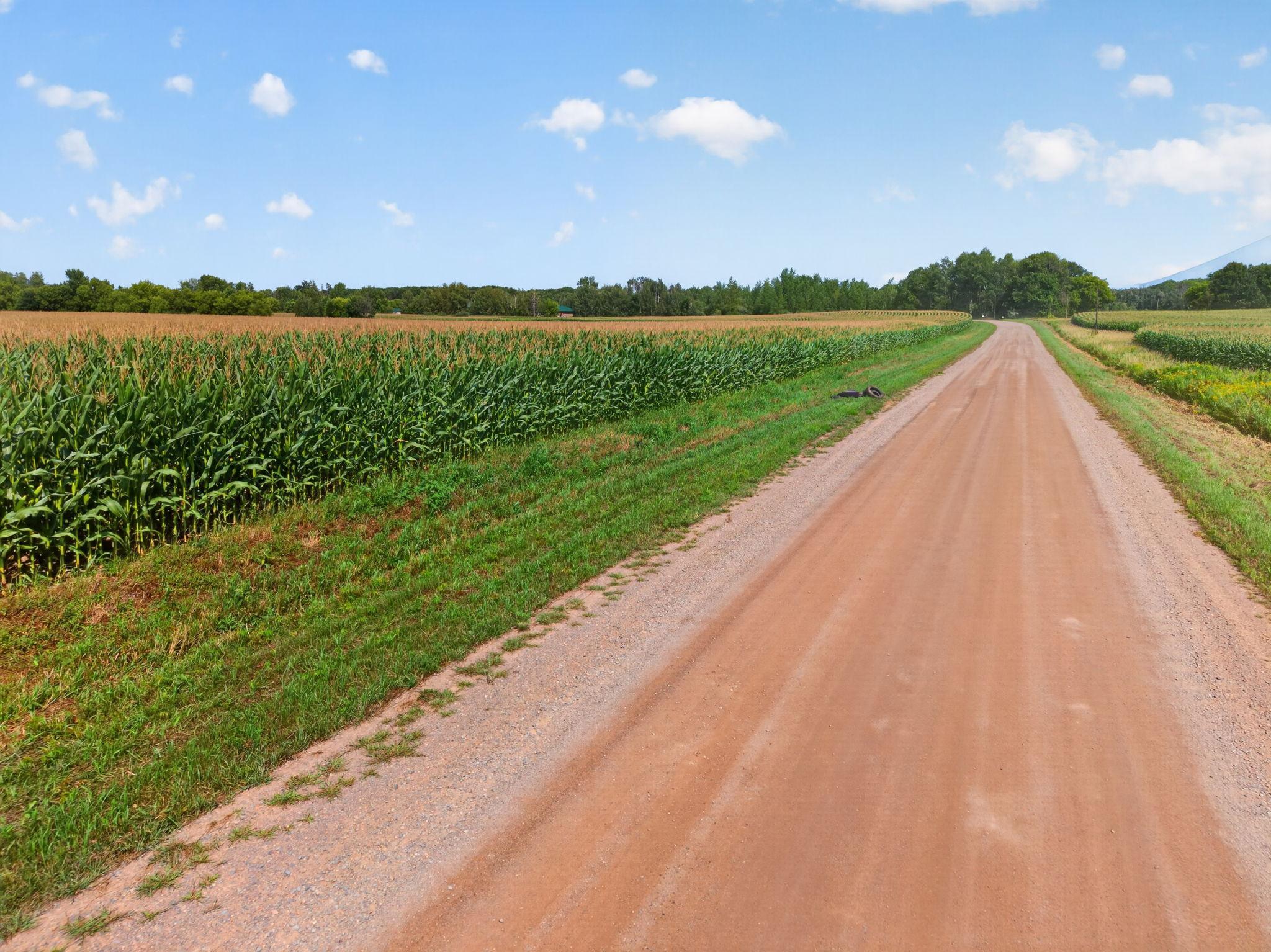 View of Land at 7xxx 373rd Avenue, Dalbo MN 55017, Dalbo (16 of 22) - Mike Wilen | Minnesota Team Real Estate