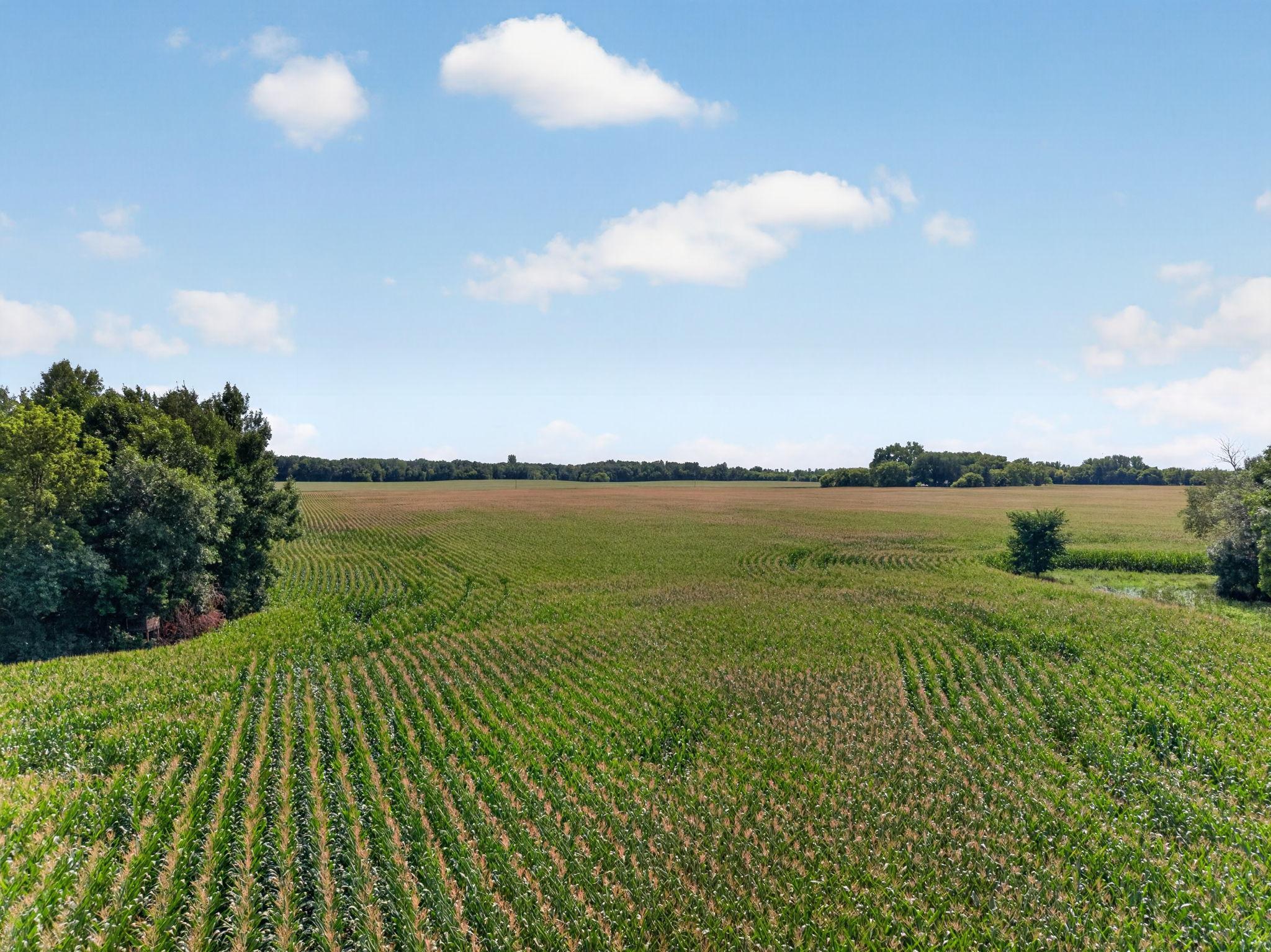 View of Land at 7xxx 373rd Avenue, Dalbo MN 55017, Dalbo (17 of 22) - Mike Wilen | Minnesota Team Real Estate