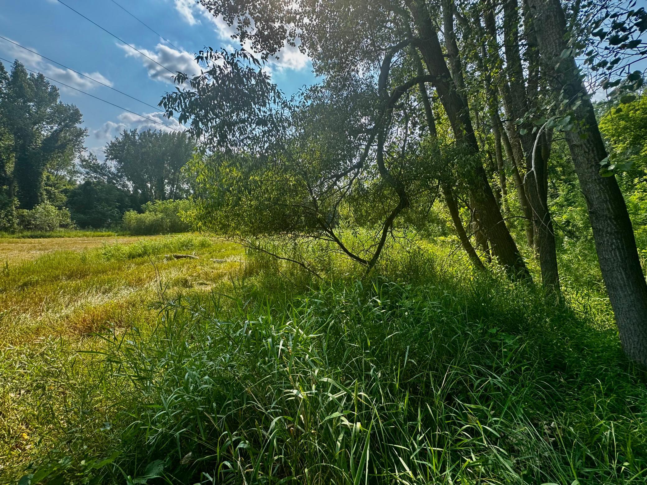 View of Land at TBD Grove Street, Le Sueur MN 56058, Le Sueur (42 of 47) - Mike Wilen | Minnesota Team Real Estate