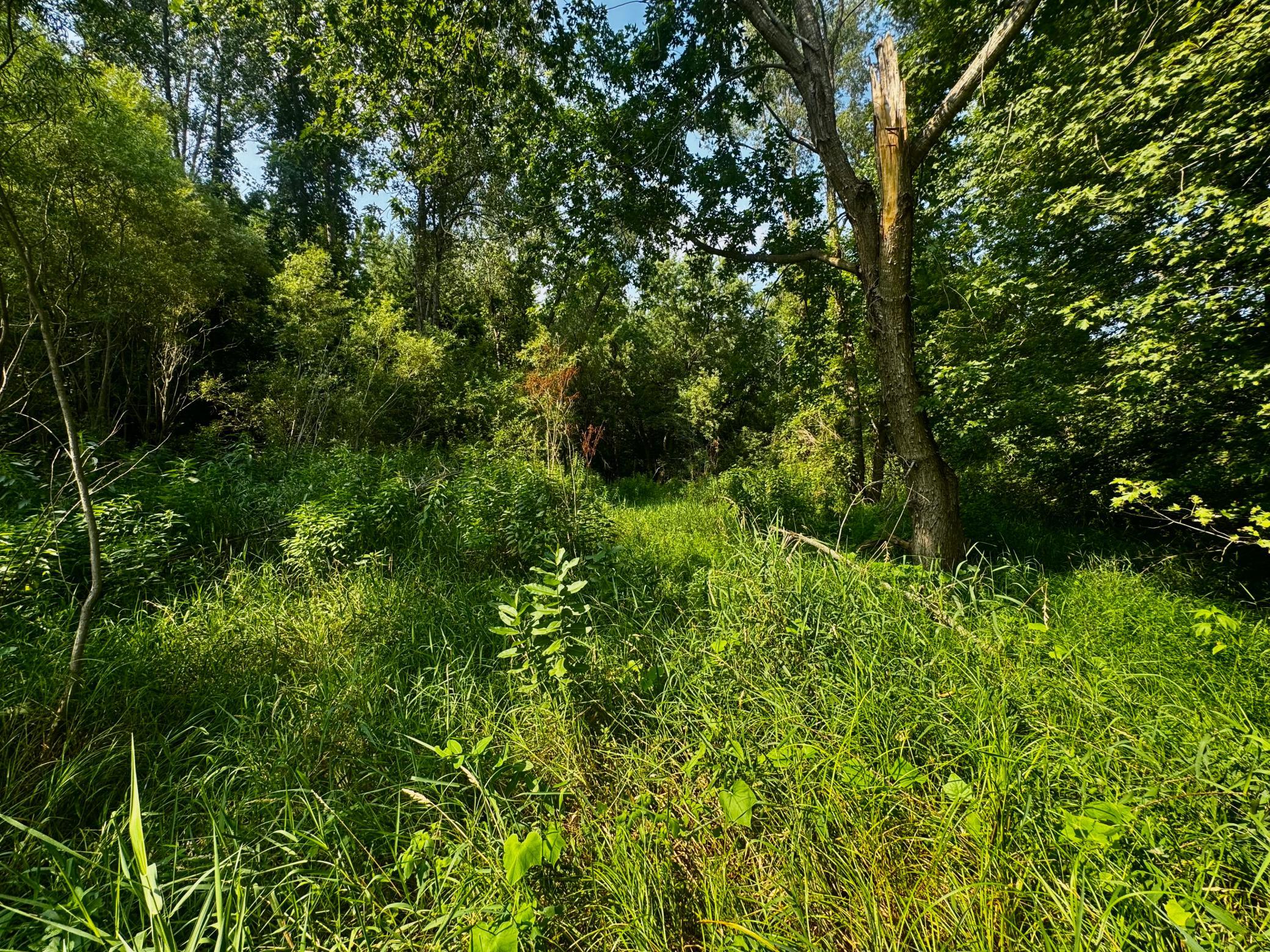View of Land at TBD Grove Street, Le Sueur MN 56058, Le Sueur (38 of 47) - Mike Wilen | Minnesota Team Real Estate