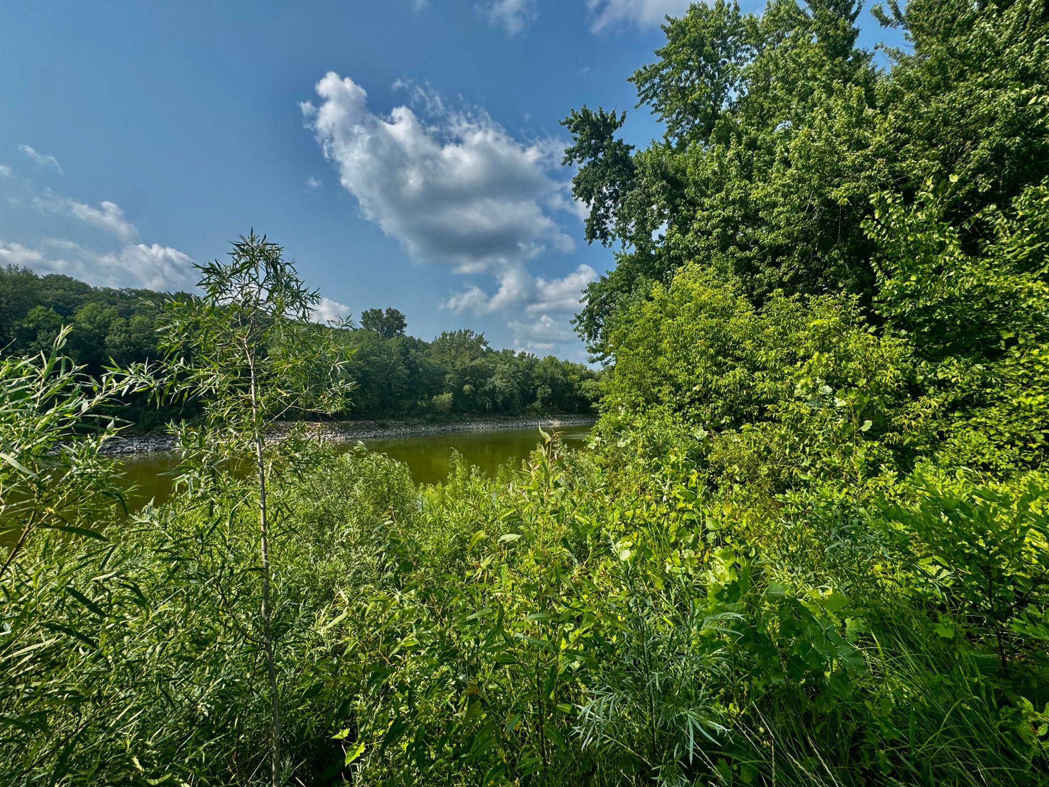 View of Land at TBD Grove Street, Le Sueur MN 56058, Le Sueur (35 of 47) - Mike Wilen | Minnesota Team Real Estate