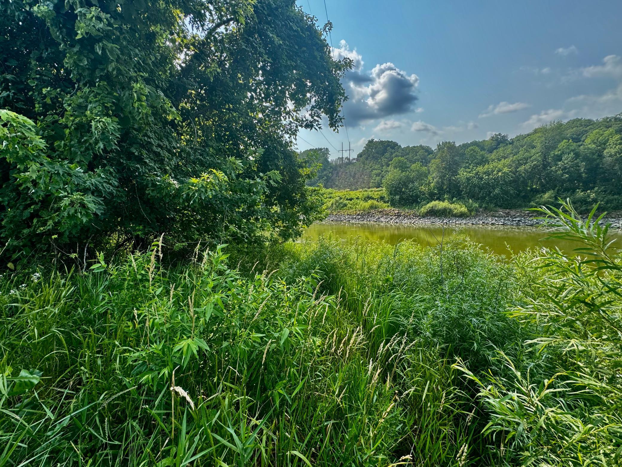 View of Land at TBD Grove Street, Le Sueur MN 56058, Le Sueur (34 of 47) - Mike Wilen | Minnesota Team Real Estate