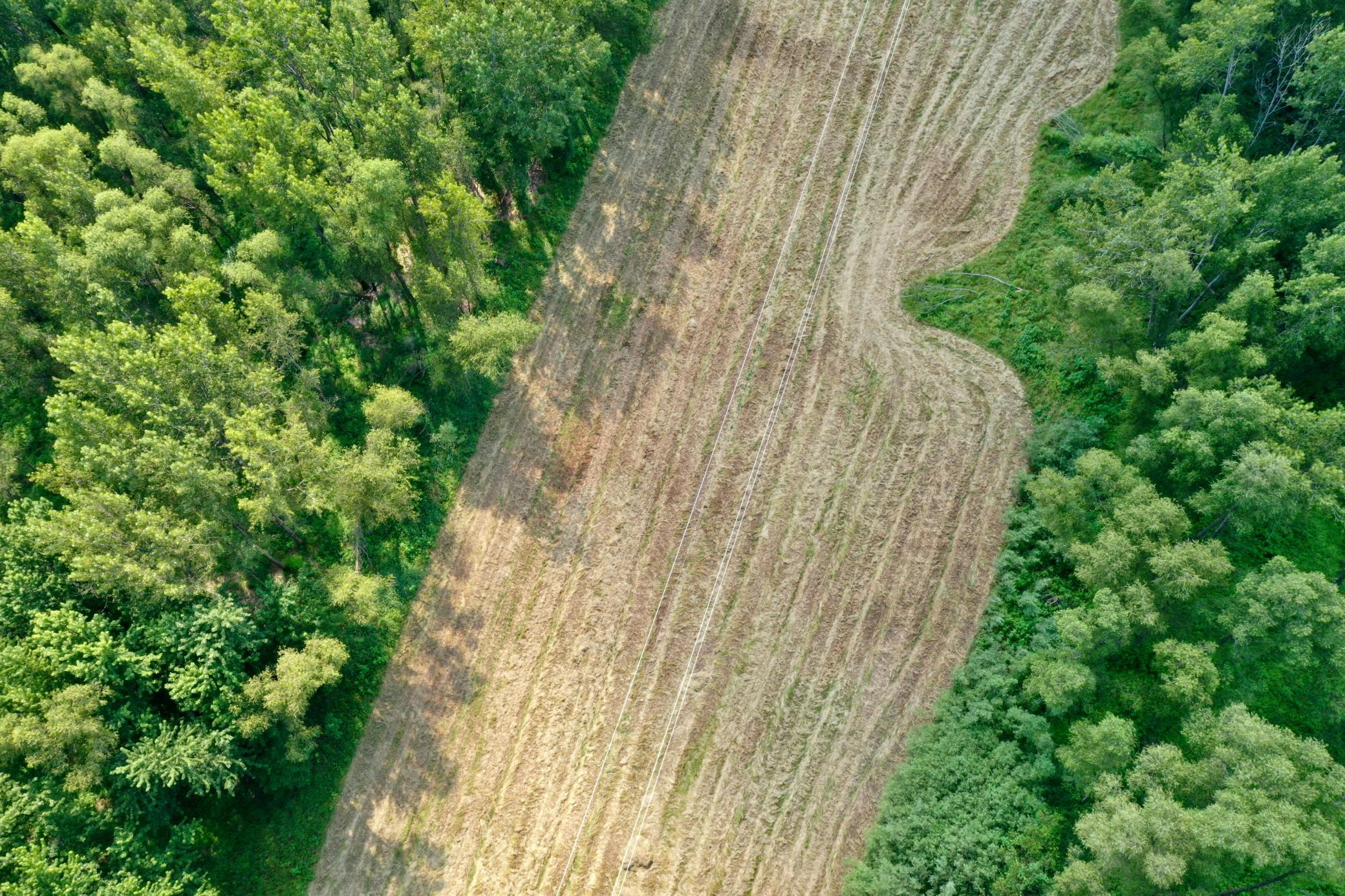 View of Land at TBD Grove Street, Le Sueur MN 56058, Le Sueur (31 of 47) - Mike Wilen | Minnesota Team Real Estate