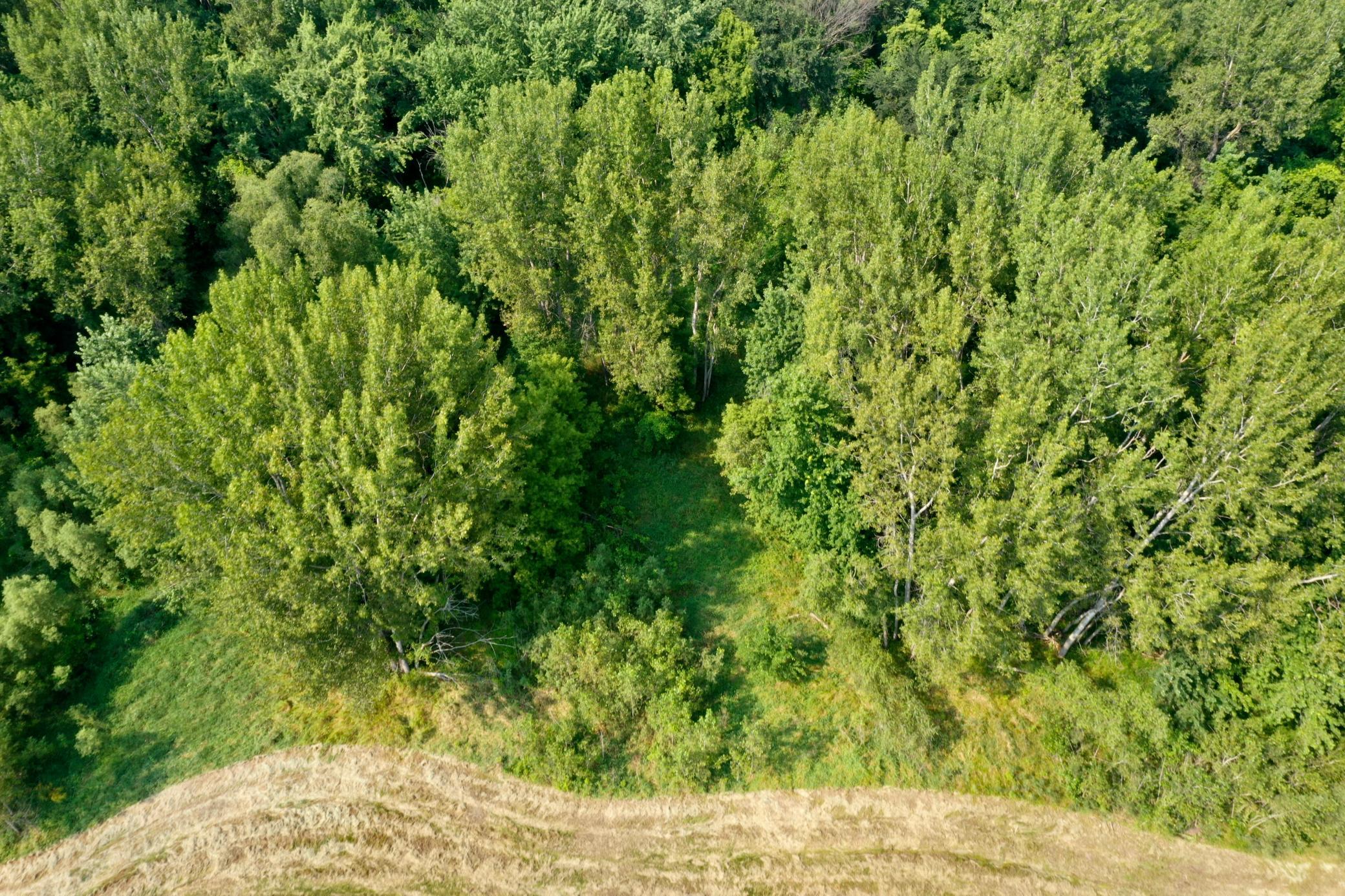 View of Land at TBD Grove Street, Le Sueur MN 56058, Le Sueur (23 of 47) - Mike Wilen | Minnesota Team Real Estate
