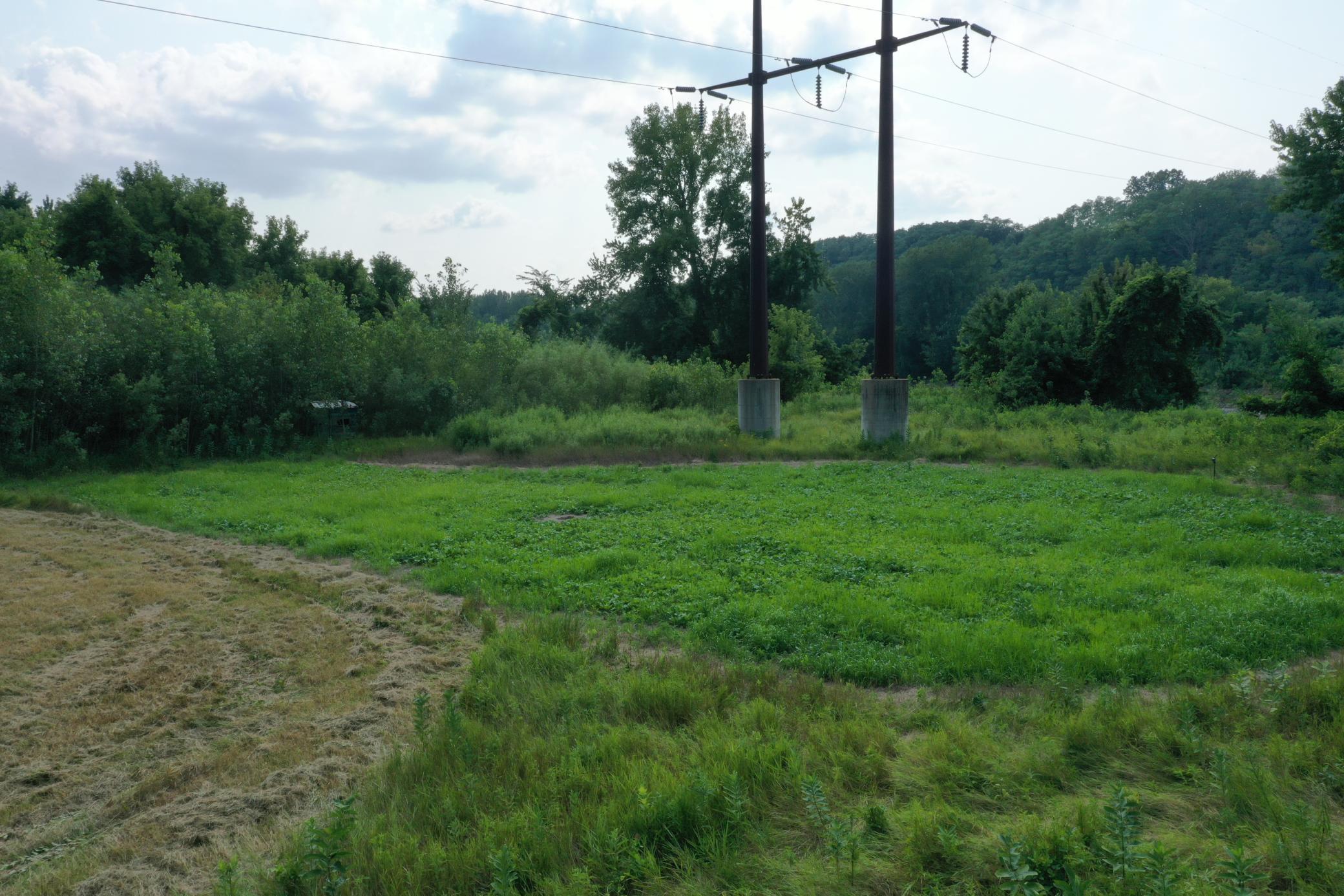 View of Land at TBD Grove Street, Le Sueur MN 56058, Le Sueur (18 of 47) - Mike Wilen | Minnesota Team Real Estate