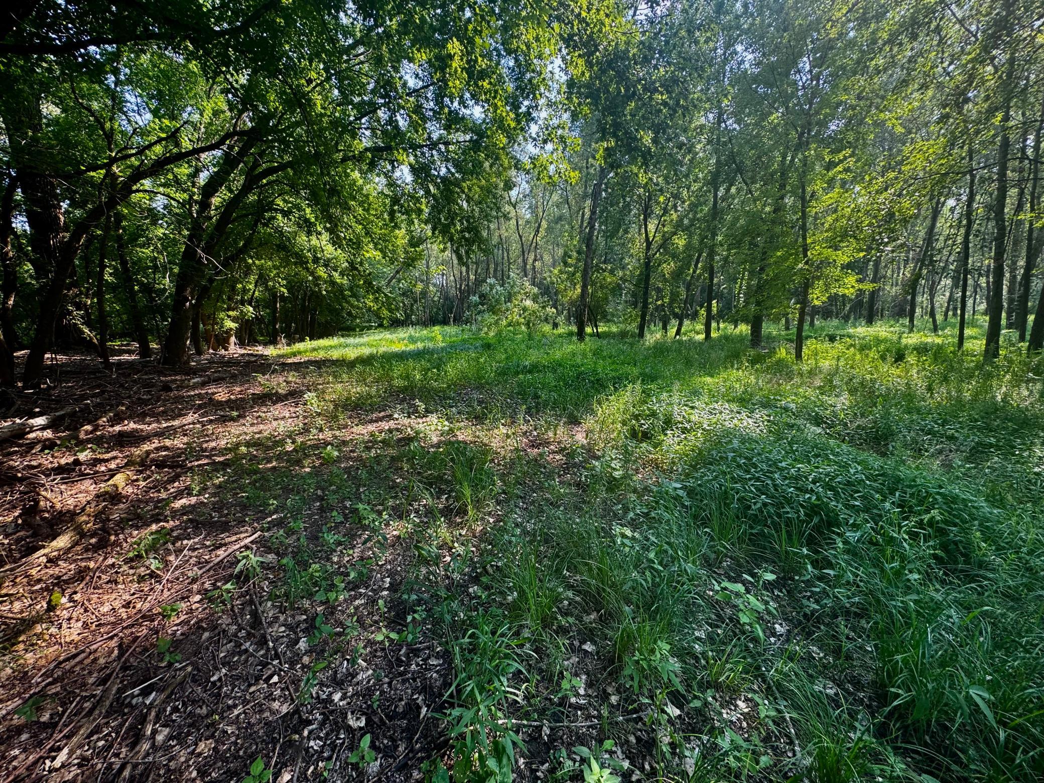 View of Land at TBD Grove Street, Le Sueur MN 56058, Le Sueur (15 of 47) - Mike Wilen | Minnesota Team Real Estate