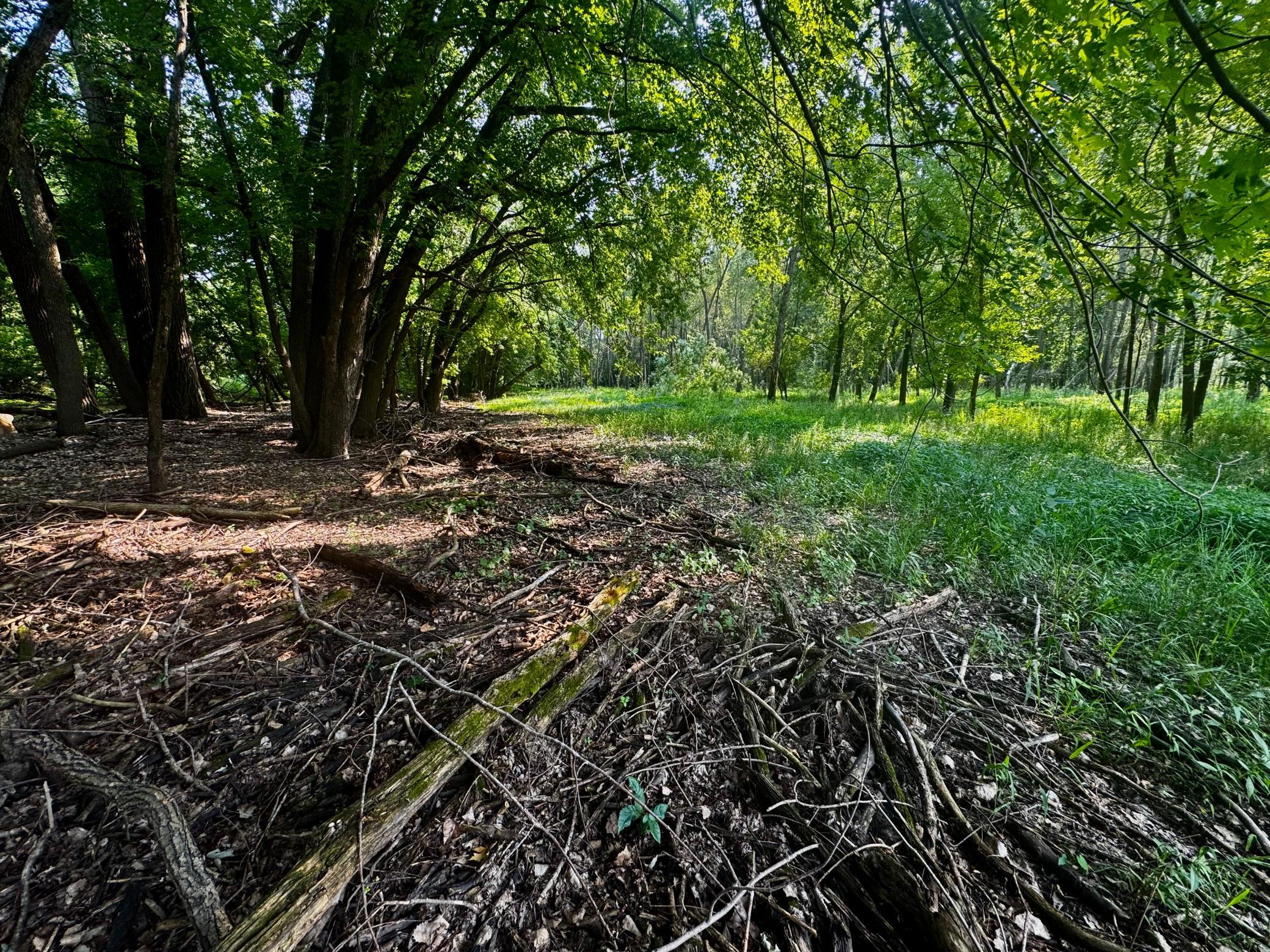 View of Land at TBD Grove Street, Le Sueur MN 56058, Le Sueur (12 of 47) - Mike Wilen | Minnesota Team Real Estate