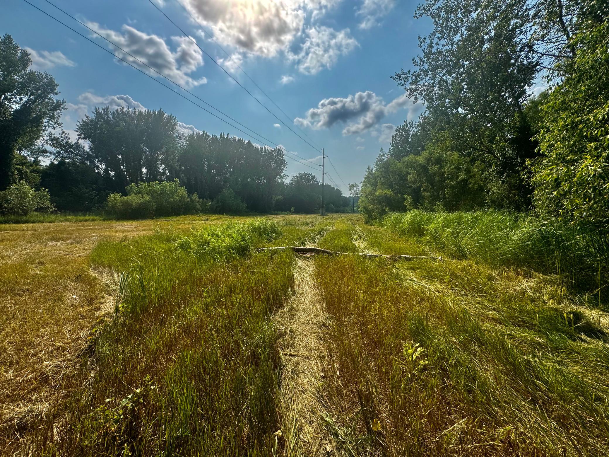 View of Land at TBD Grove Street, Le Sueur MN 56058, Le Sueur (11 of 47) - Mike Wilen | Minnesota Team Real Estate