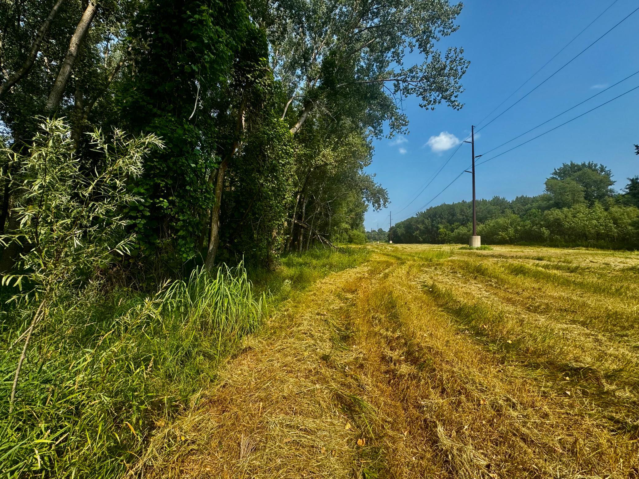 View of Land at TBD Grove Street, Le Sueur MN 56058, Le Sueur (10 of 47) - Mike Wilen | Minnesota Team Real Estate