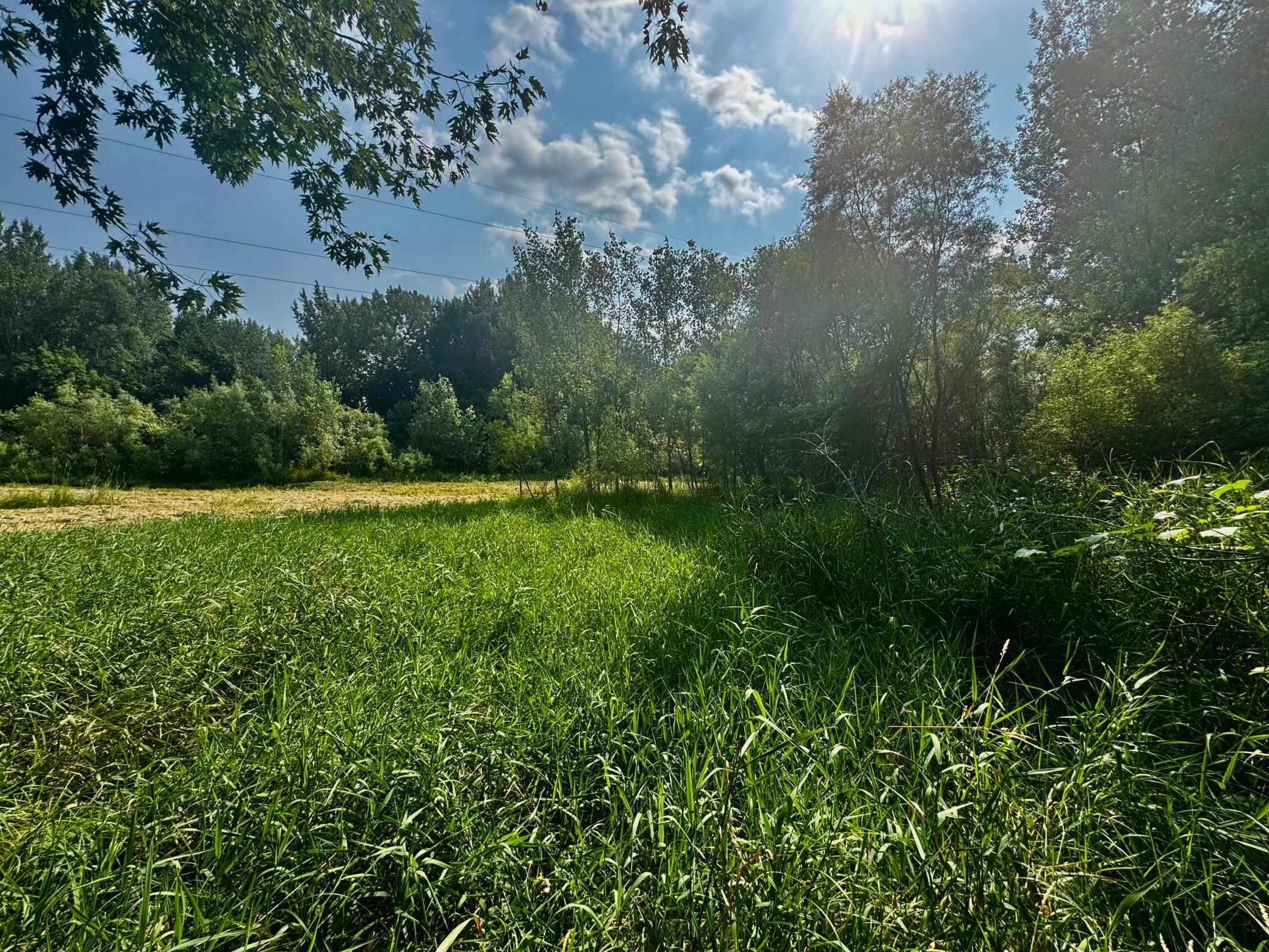 View of Land at TBD Grove Street, Le Sueur MN 56058, Le Sueur (9 of 47) - Mike Wilen | Minnesota Team Real Estate