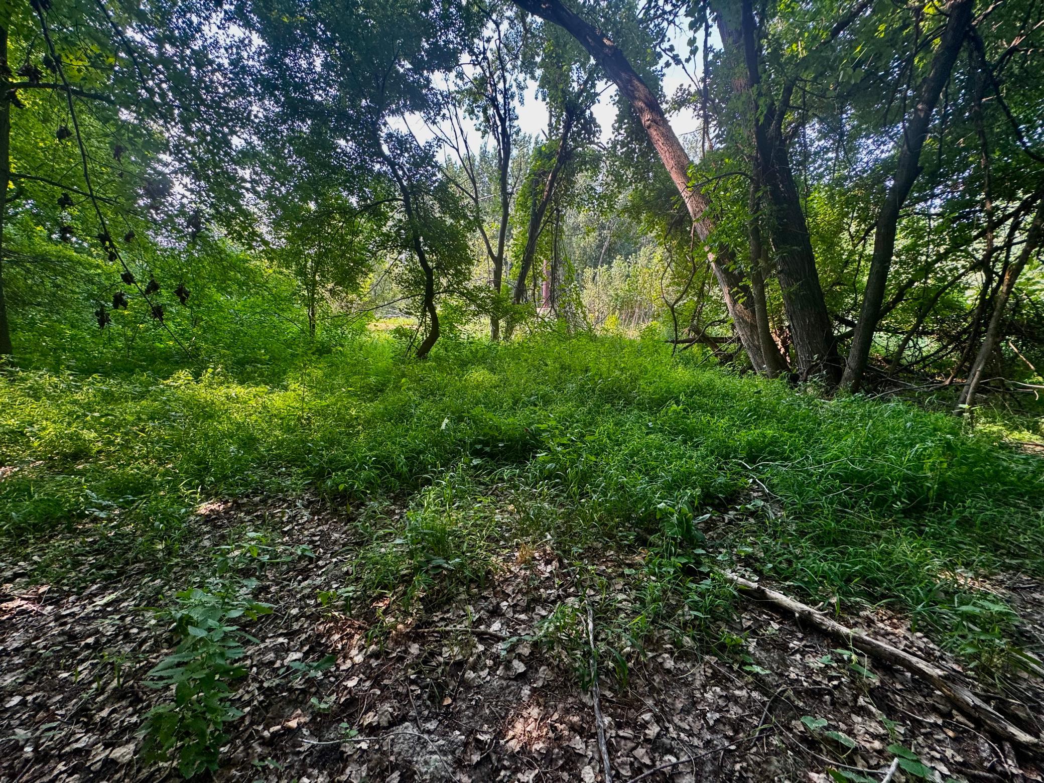 View of Land at TBD Grove Street, Le Sueur MN 56058, Le Sueur (8 of 47) - Mike Wilen | Minnesota Team Real Estate