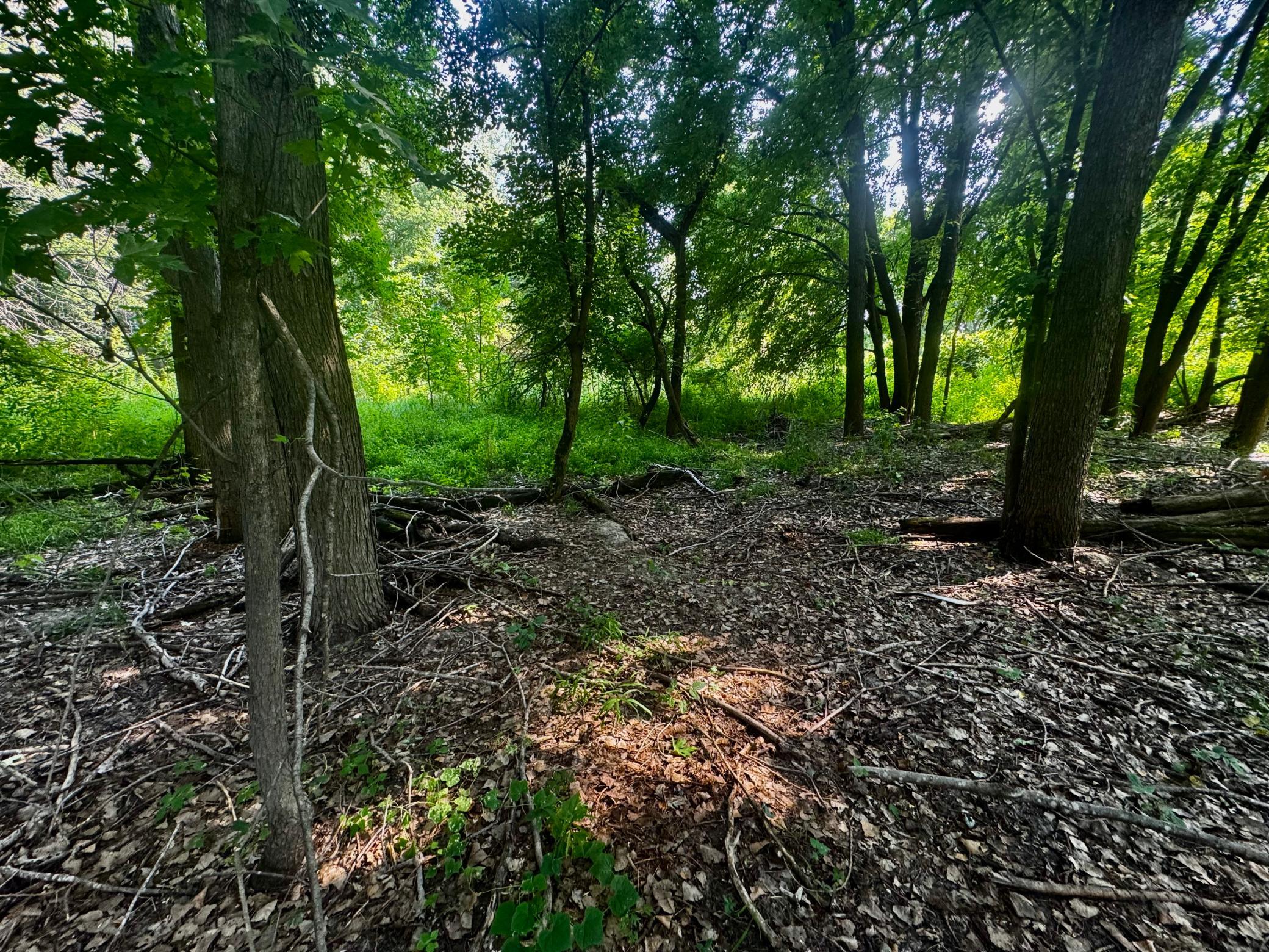 View of Land at TBD Grove Street, Le Sueur MN 56058, Le Sueur (7 of 47) - Mike Wilen | Minnesota Team Real Estate