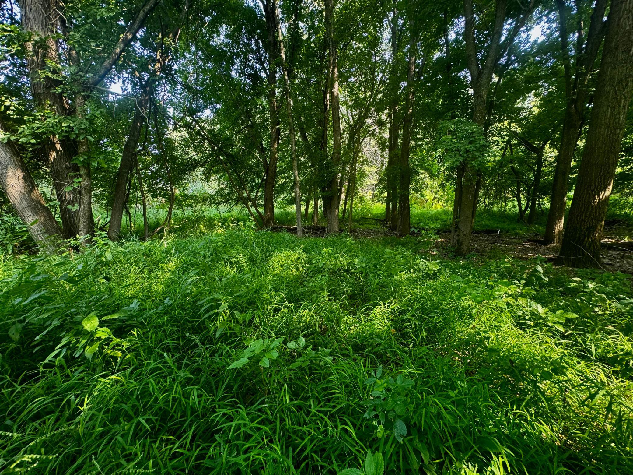 View of Land at TBD Grove Street, Le Sueur MN 56058, Le Sueur (6 of 47) - Mike Wilen | Minnesota Team Real Estate