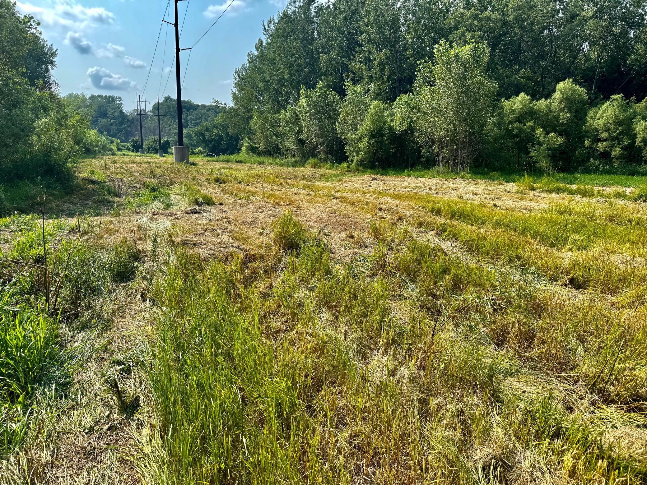 View of Land at TBD Grove Street, Le Sueur MN 56058, Le Sueur (5 of 47) - Mike Wilen | Minnesota Team Real Estate