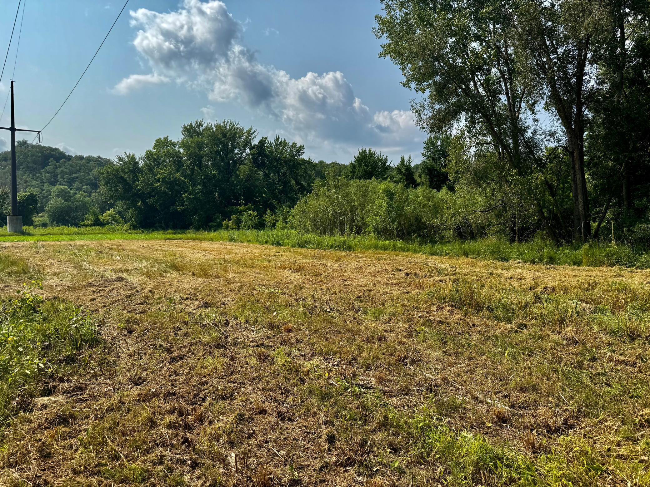 View of Land at TBD Grove Street, Le Sueur MN 56058, Le Sueur (4 of 47) - Mike Wilen | Minnesota Team Real Estate