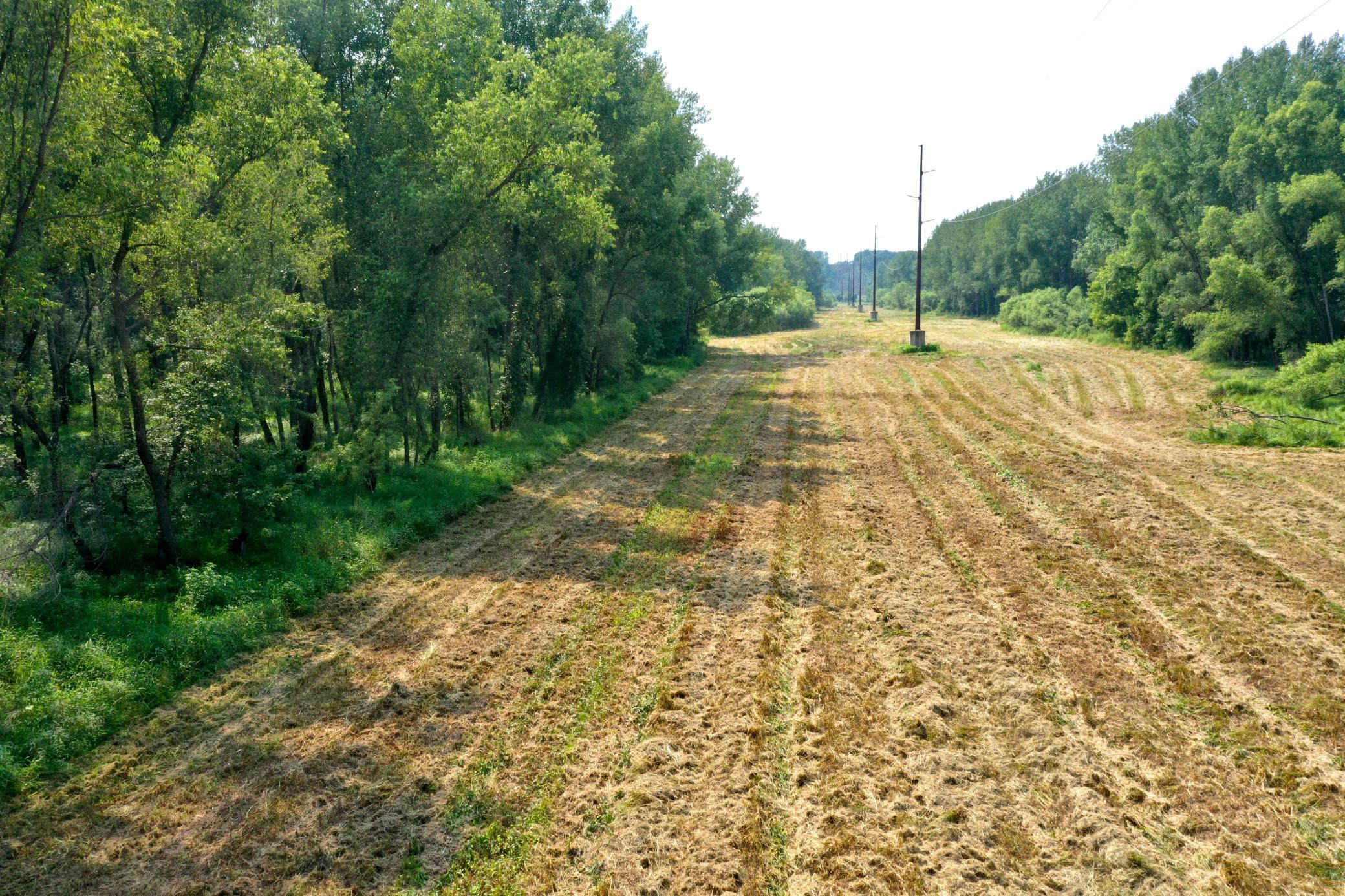 View of Land at TBD Grove Street, Le Sueur MN 56058, Le Sueur (3 of 47) - Mike Wilen | Minnesota Team Real Estate