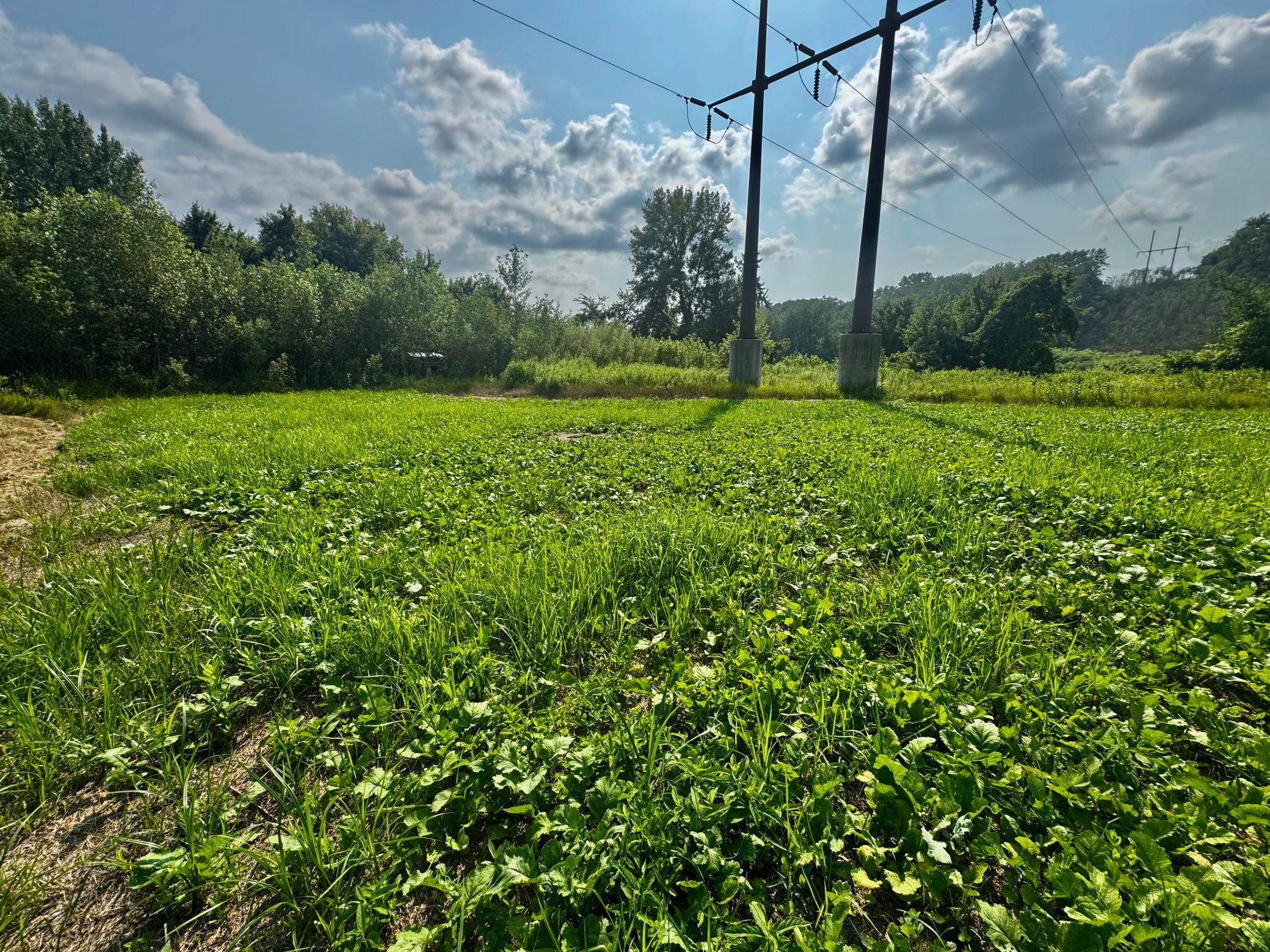 View of Land at TBD Grove Street, Le Sueur MN 56058, Le Sueur (2 of 47) - Mike Wilen | Minnesota Team Real Estate
