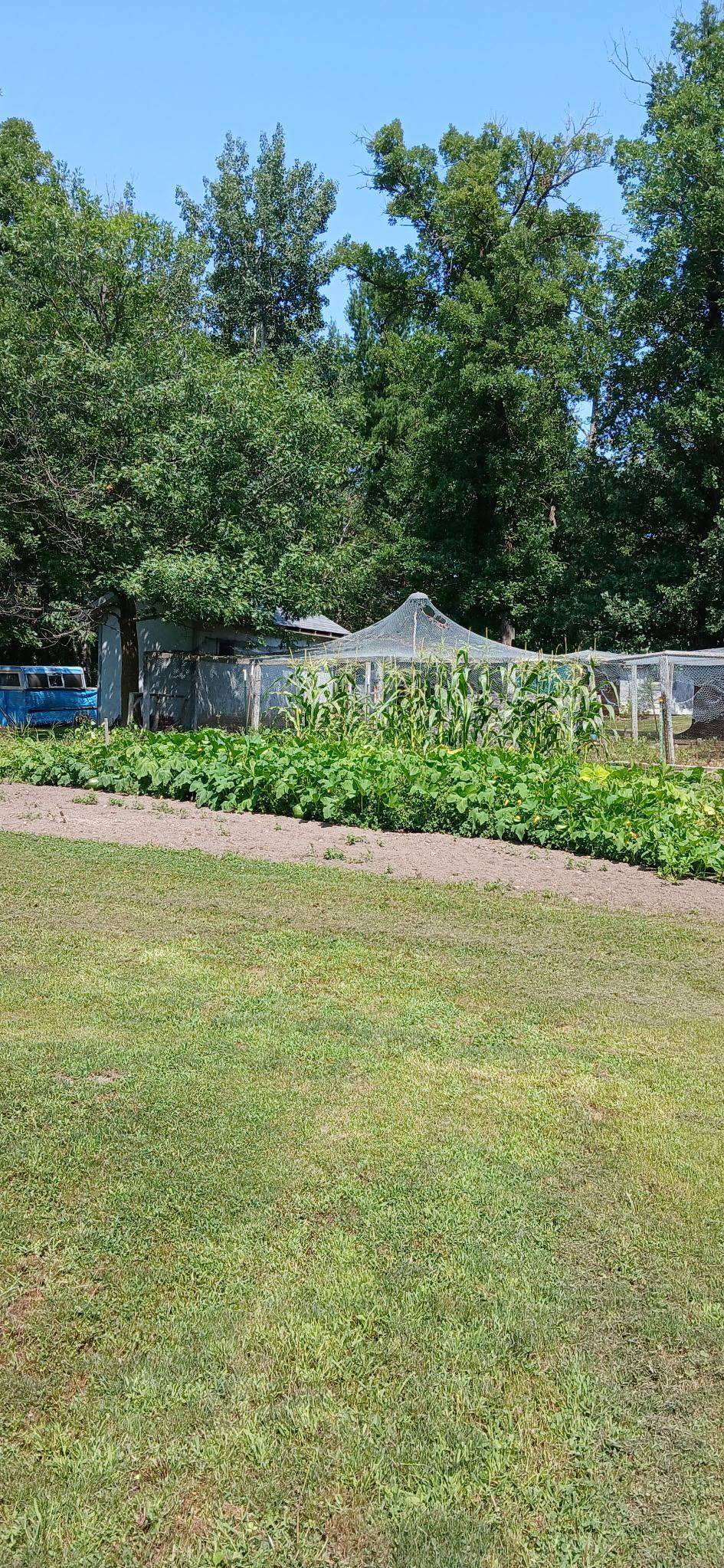 View of Land at 26898 State Highway 210, Aitkin MN 56431, Aitkin (8 of 29) - Mike Wilen | Minnesota Team Real Estate