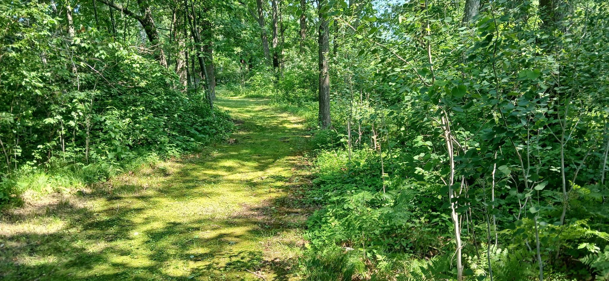 View of Land at 26898 State Highway 210, Aitkin MN 56431, Aitkin (12 of 29) - Mike Wilen | Minnesota Team Real Estate