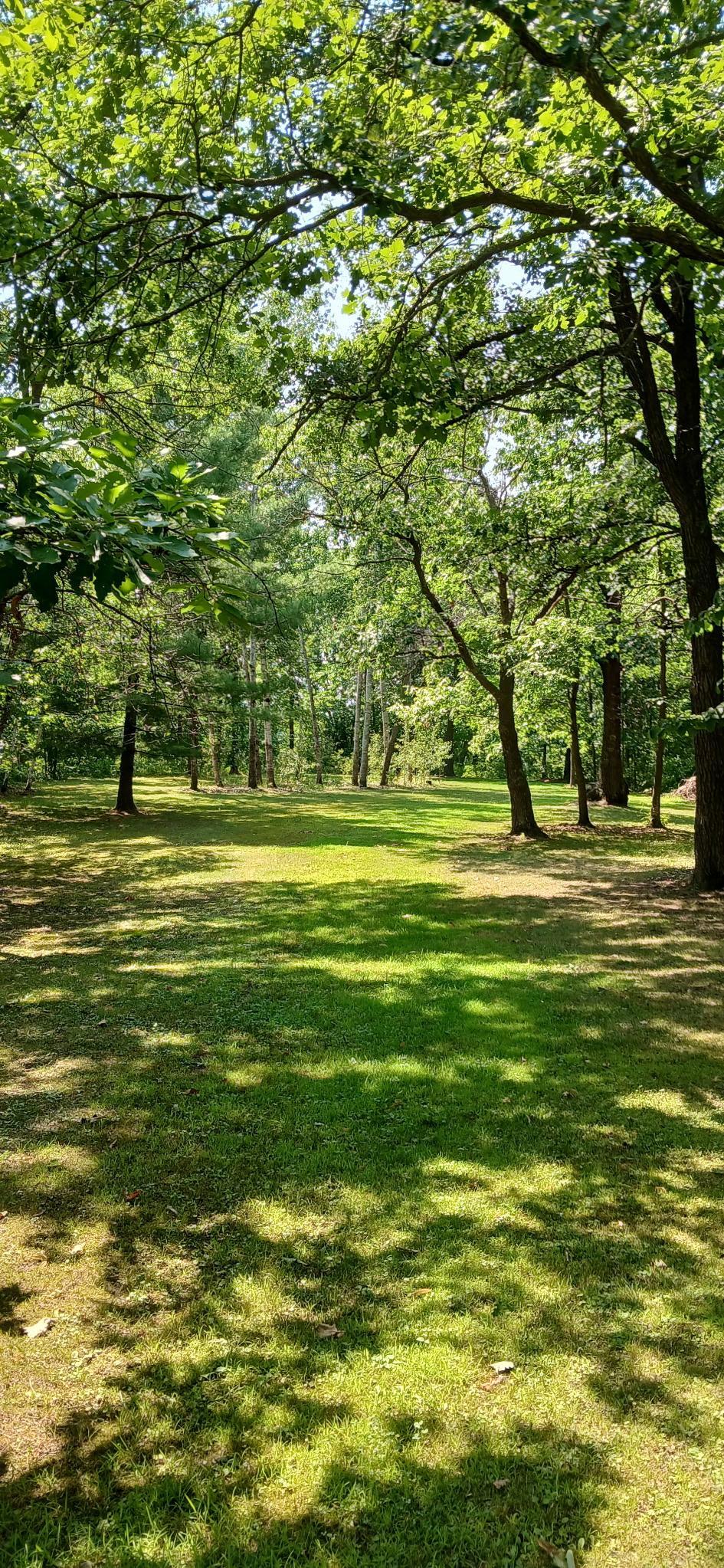 View of Land at 26898 State Highway 210, Aitkin MN 56431, Aitkin (14 of 29) - Mike Wilen | Minnesota Team Real Estate