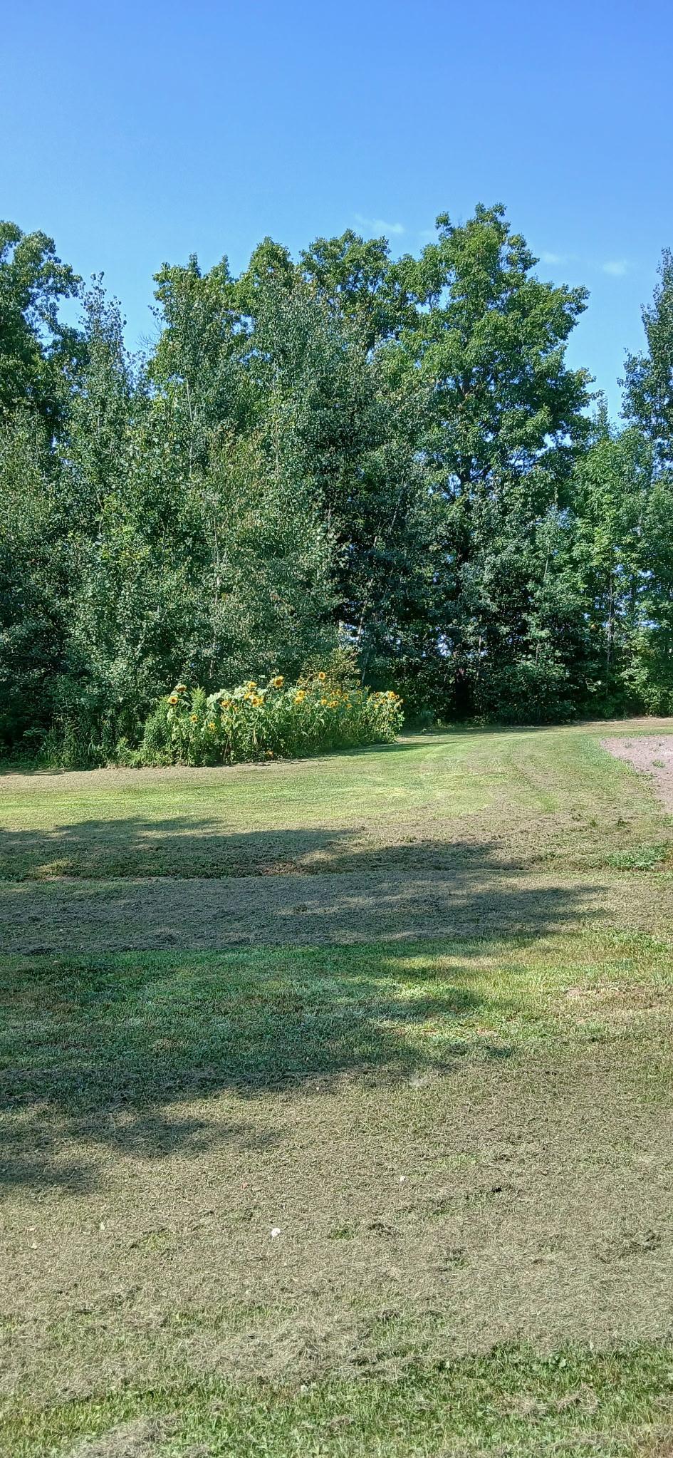 View of Land at 26898 State Highway 210, Aitkin MN 56431, Aitkin (16 of 29) - Mike Wilen | Minnesota Team Real Estate
