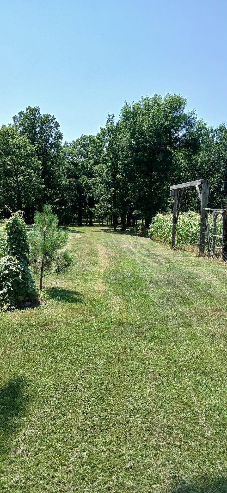 View of Land at 26898 State Highway 210, Aitkin MN 56431, Aitkin (13 of 29) - Mike Wilen | Minnesota Team Real Estate
