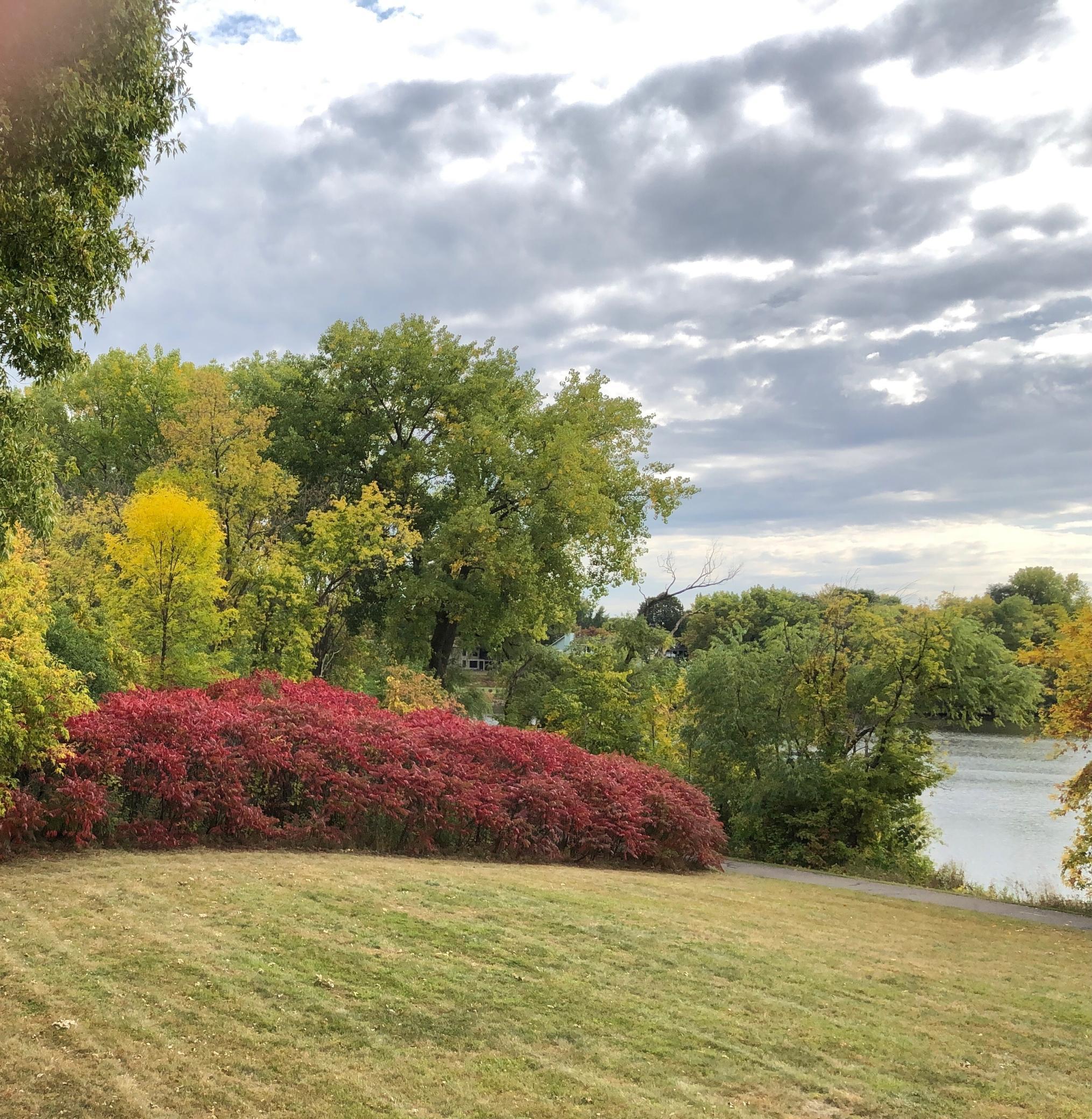 View of Residential at 14333 91st Place, Maple Grove MN 55369, Maple Grove (53 of 56) - Mike Wilen | Minnesota Team Real Estate