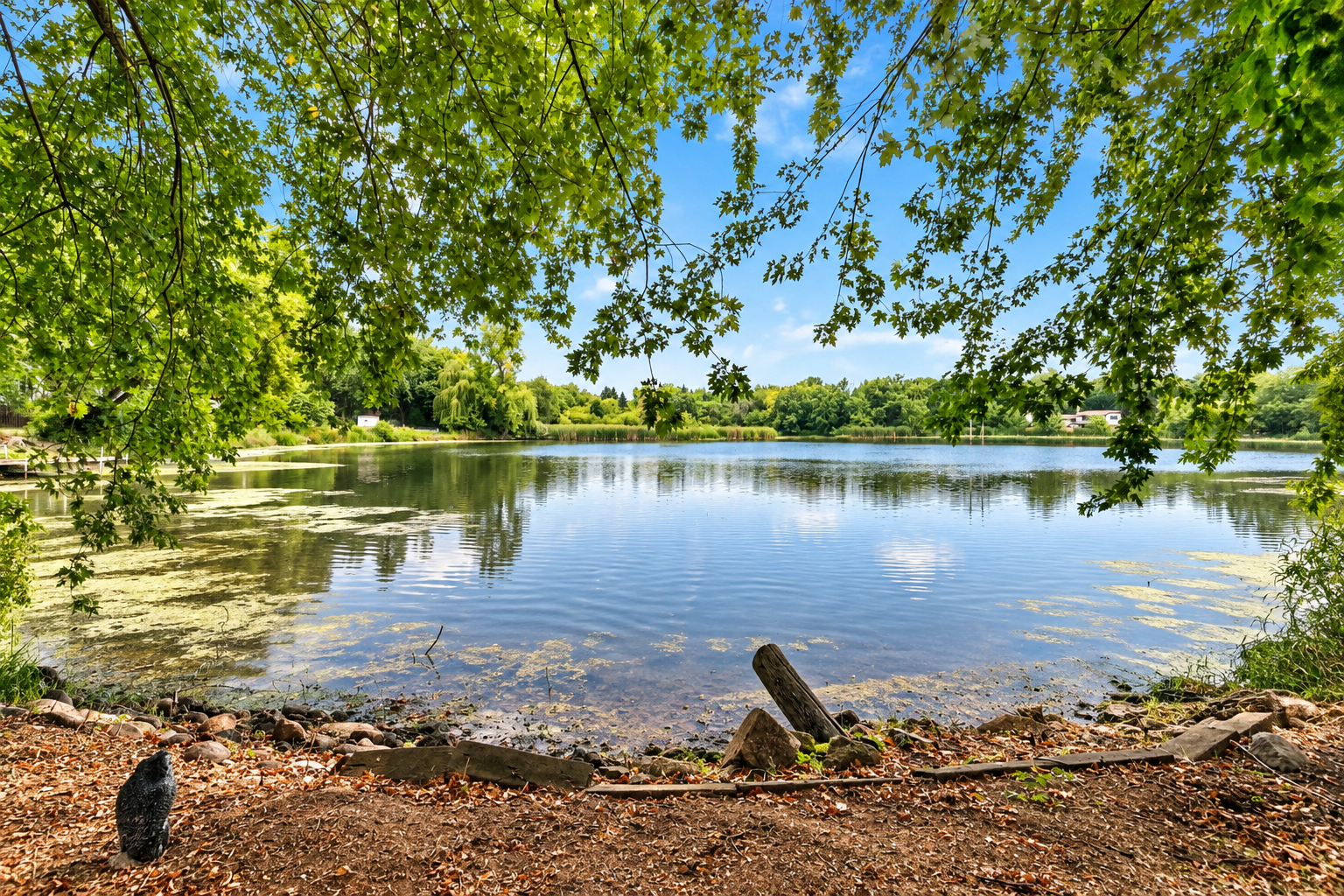View of Residential at 10250 Boundary Creek Terrace, Maple Grove MN 55369, Maple Grove (3 of 23) - Mike Wilen | Minnesota Team Real Estate