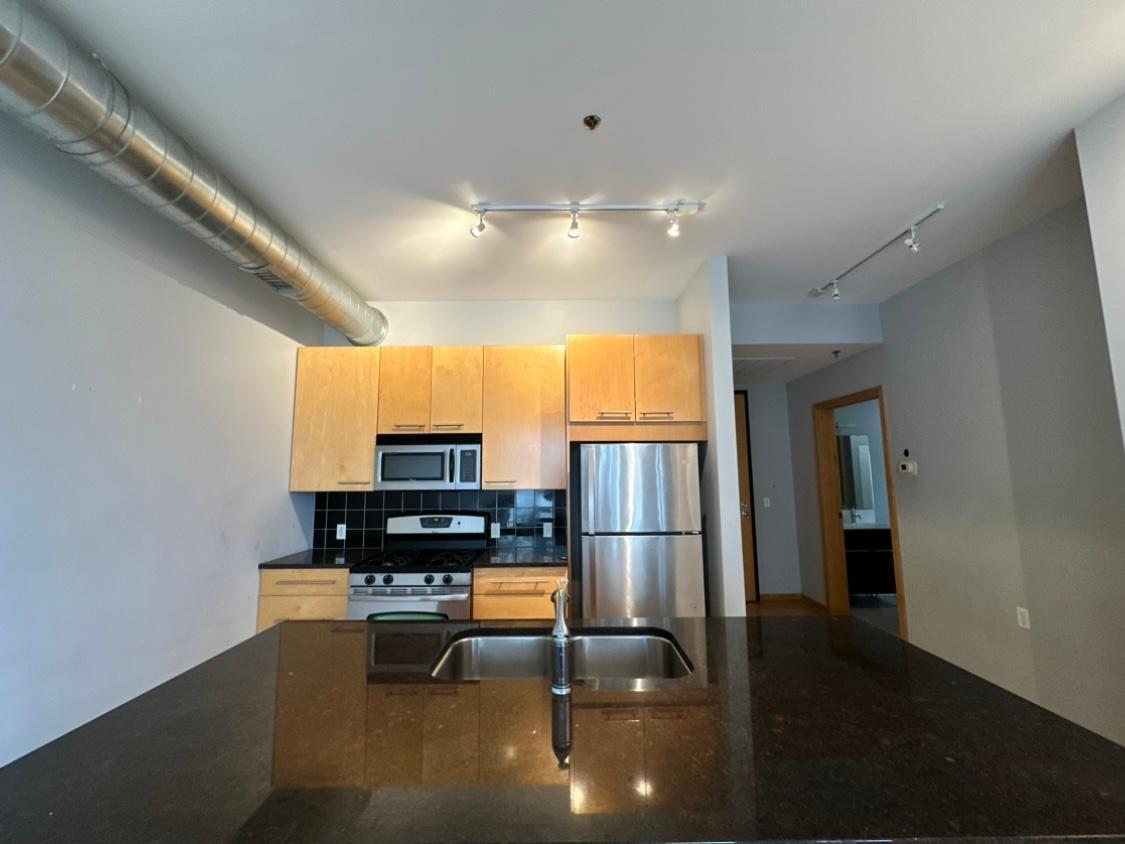View of Residential at 1211 Lagoon Avenue #405, Minneapolis MN 55408, Minneapolis (8 of 19) - Mike Wilen | Minnesota Team Real Estate