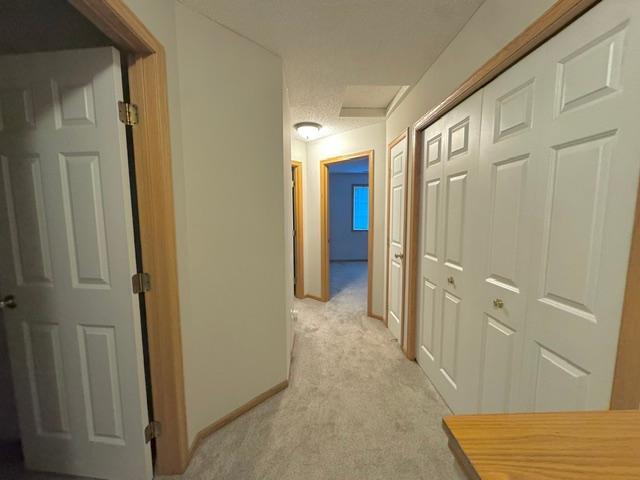 View of Residential at 20583 Abbey Lane #148, Farmington MN 55024, Farmington (13 of 25) - Mike Wilen | Minnesota Team Real Estate