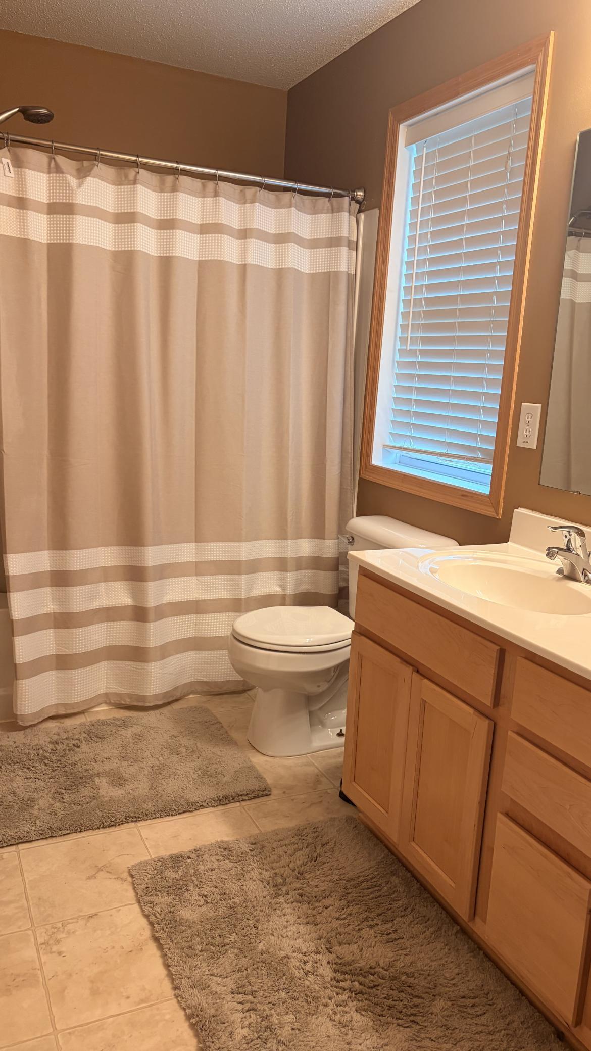 View of Residential at 728 Newberry Lane, Chaska MN 55318, Chaska (18 of 23) - Mike Wilen | Minnesota Team Real Estate