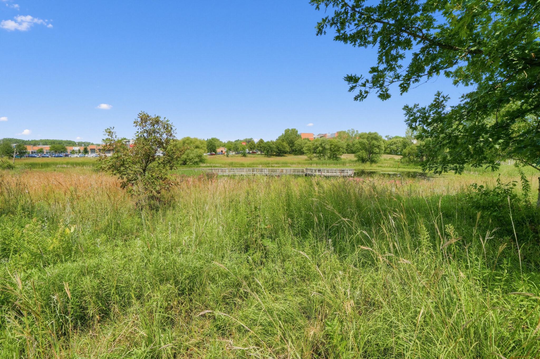 View of Residential at 1473 Magnolia Avenue, Saint Paul MN 55106, Saint Paul (37 of 40) - Mike Wilen | Minnesota Team Real Estate
