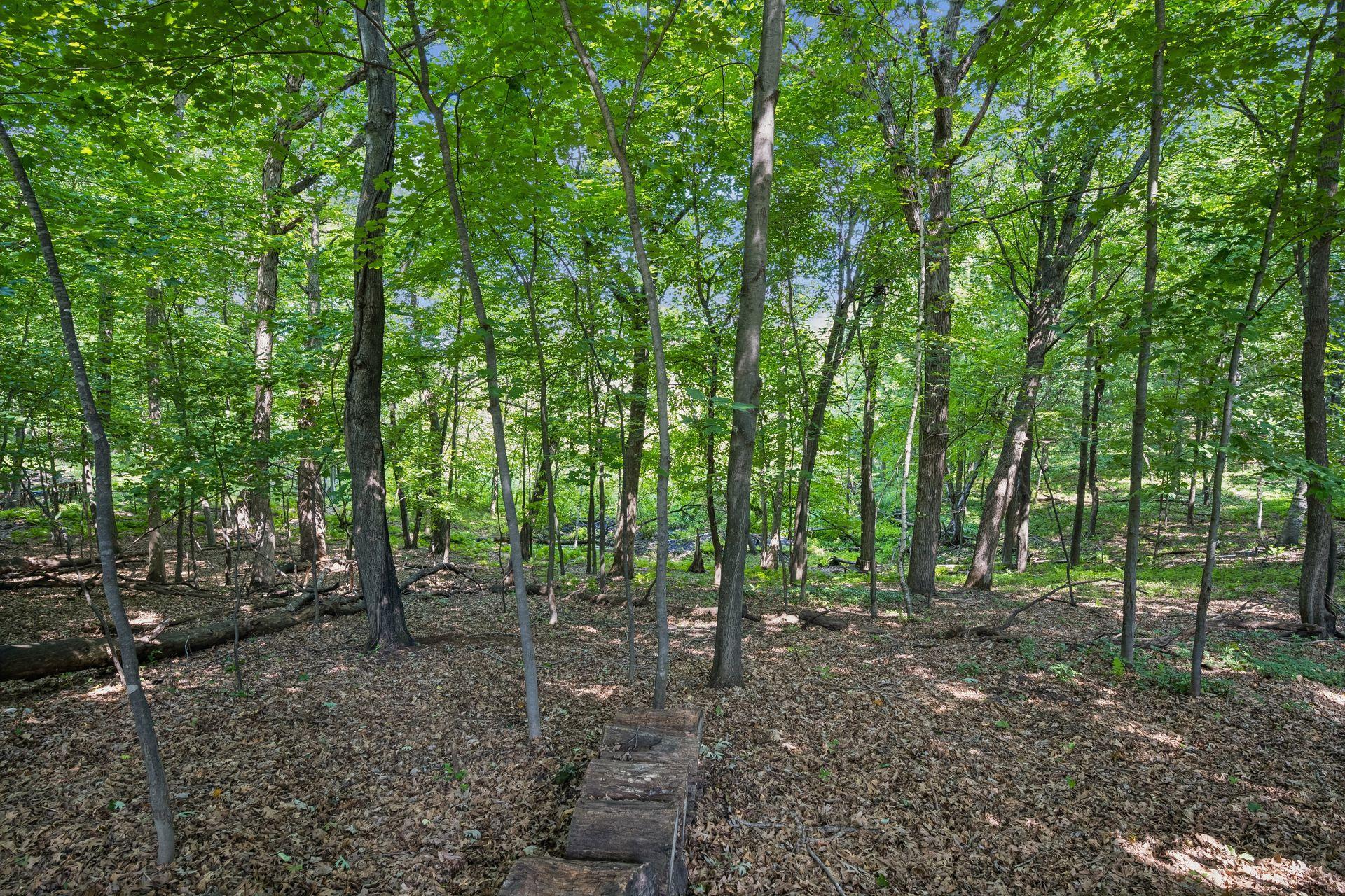 View of Residential at 22372 Tipton Street, Elk River MN 55330, Elk River (58 of 67) - Mike Wilen | Minnesota Team Real Estate