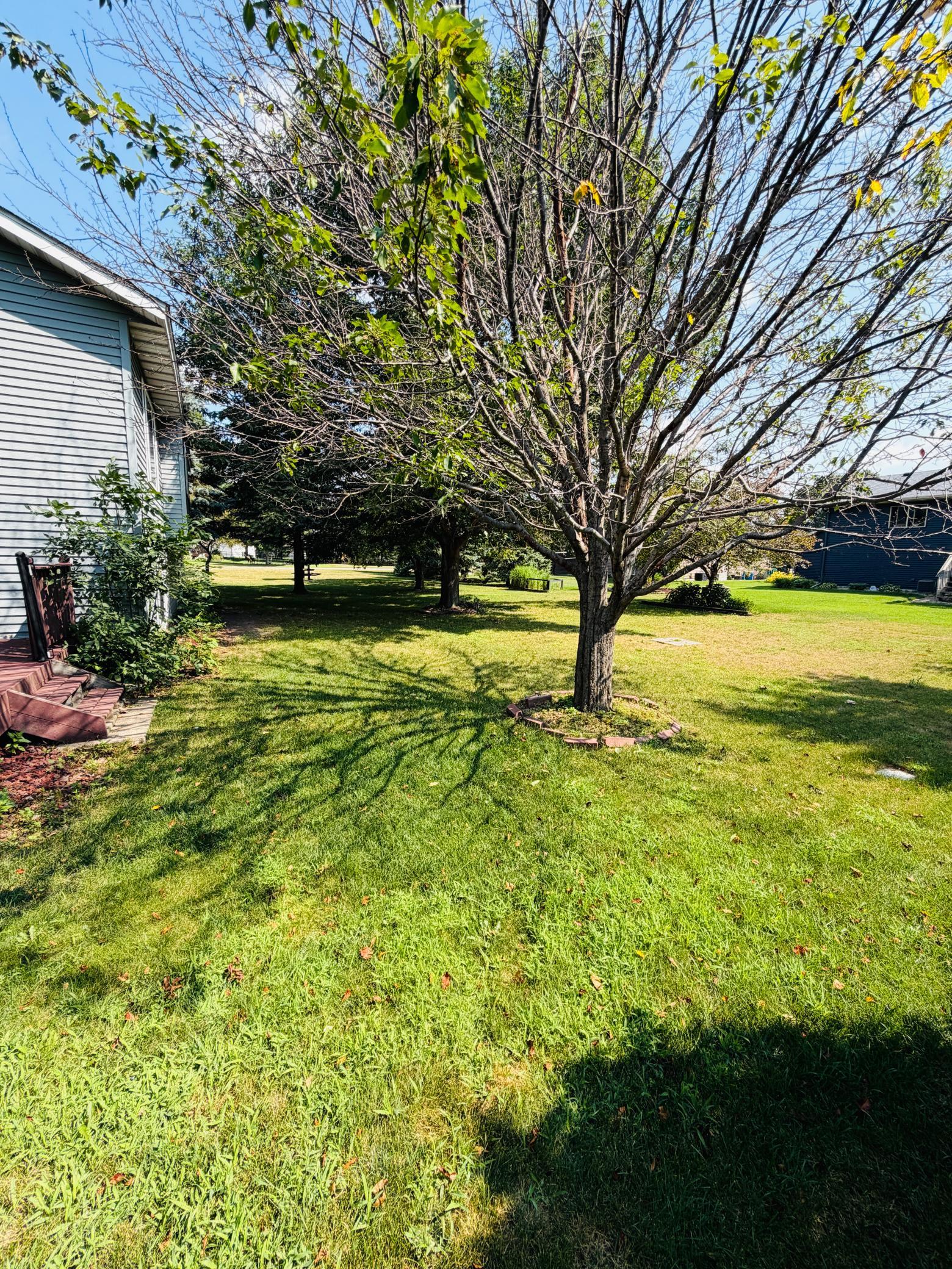 View of Residential at 304 7th Avenue, Sartell MN 56377, Sartell (4 of 34) - Mike Wilen | Minnesota Team Real Estate