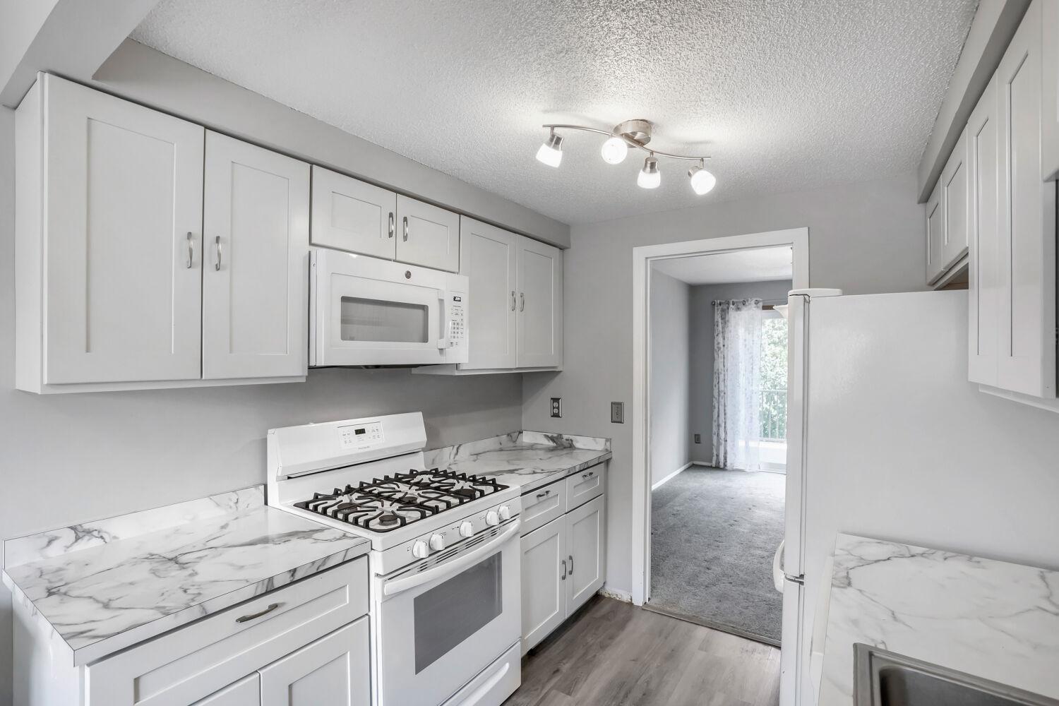 View of (TH) Side x Side at 12217 Drake Street, Coon Rapids - Mike Wilen | Minnesota Team Real Estate