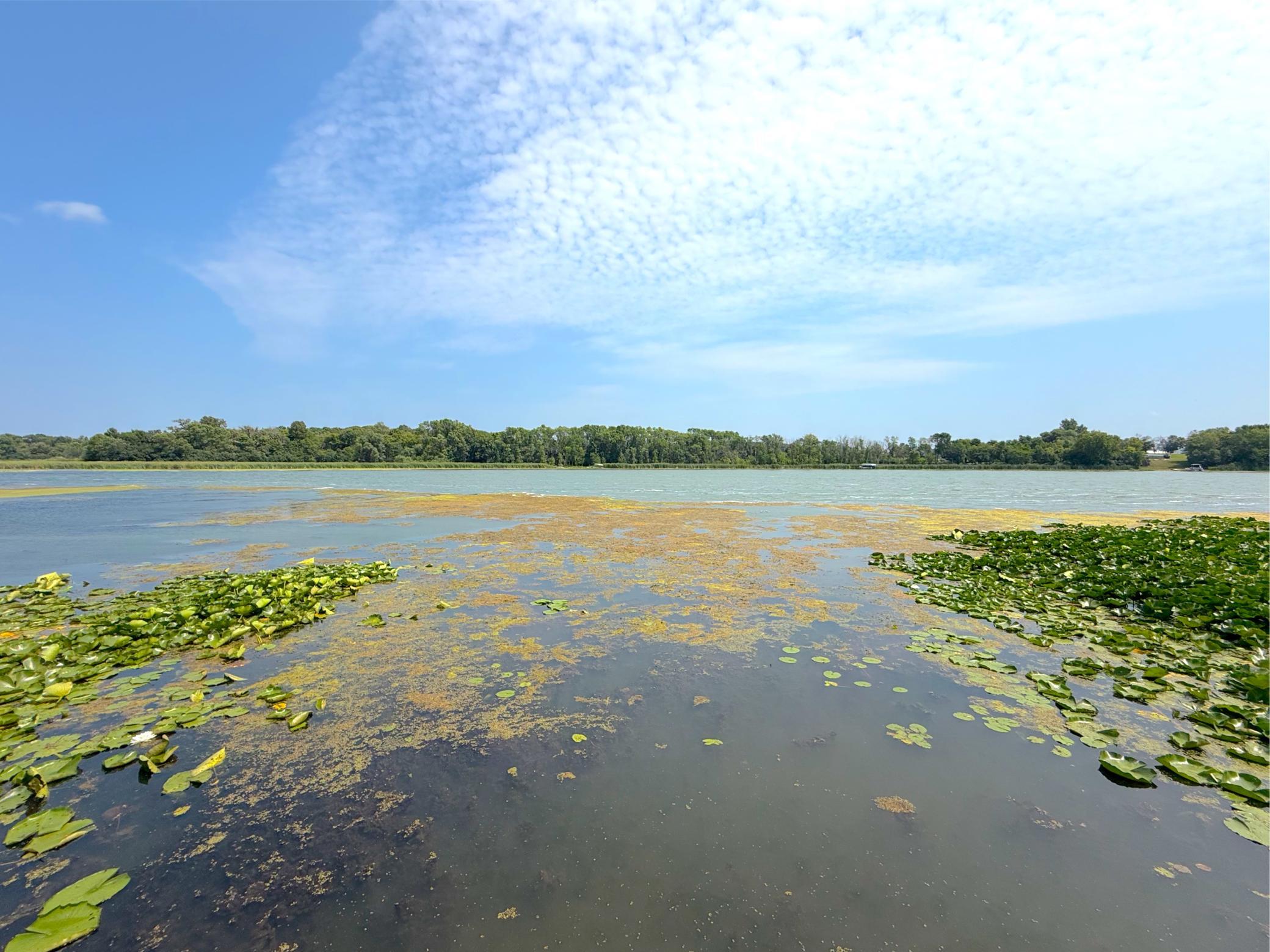 View of Residential at 4562 Fillmore Avenue, Maple Lake MN 55358, Maple Lake (54 of 62) - Mike Wilen | Minnesota Team Real Estate