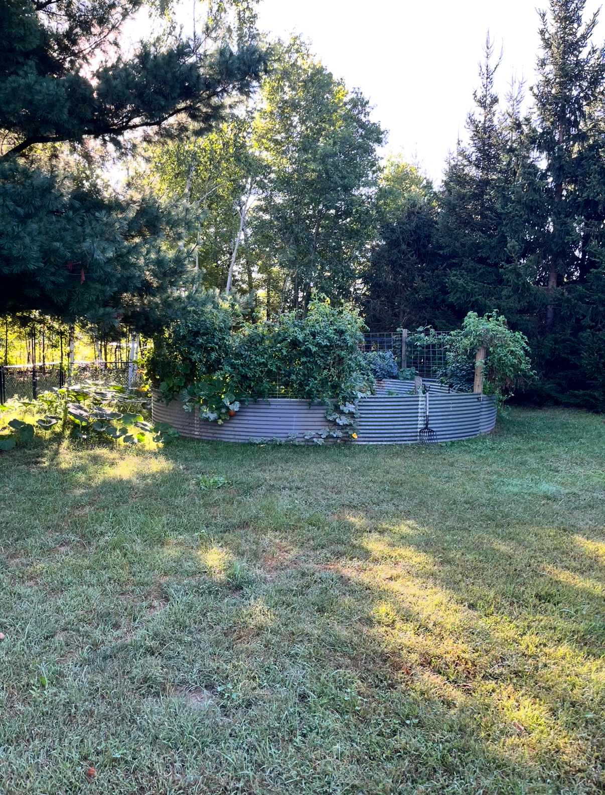 View of Residential at 7727 269th Avenue, Stacy MN 55079, Stacy (11 of 37) - Mike Wilen | Minnesota Team Real Estate