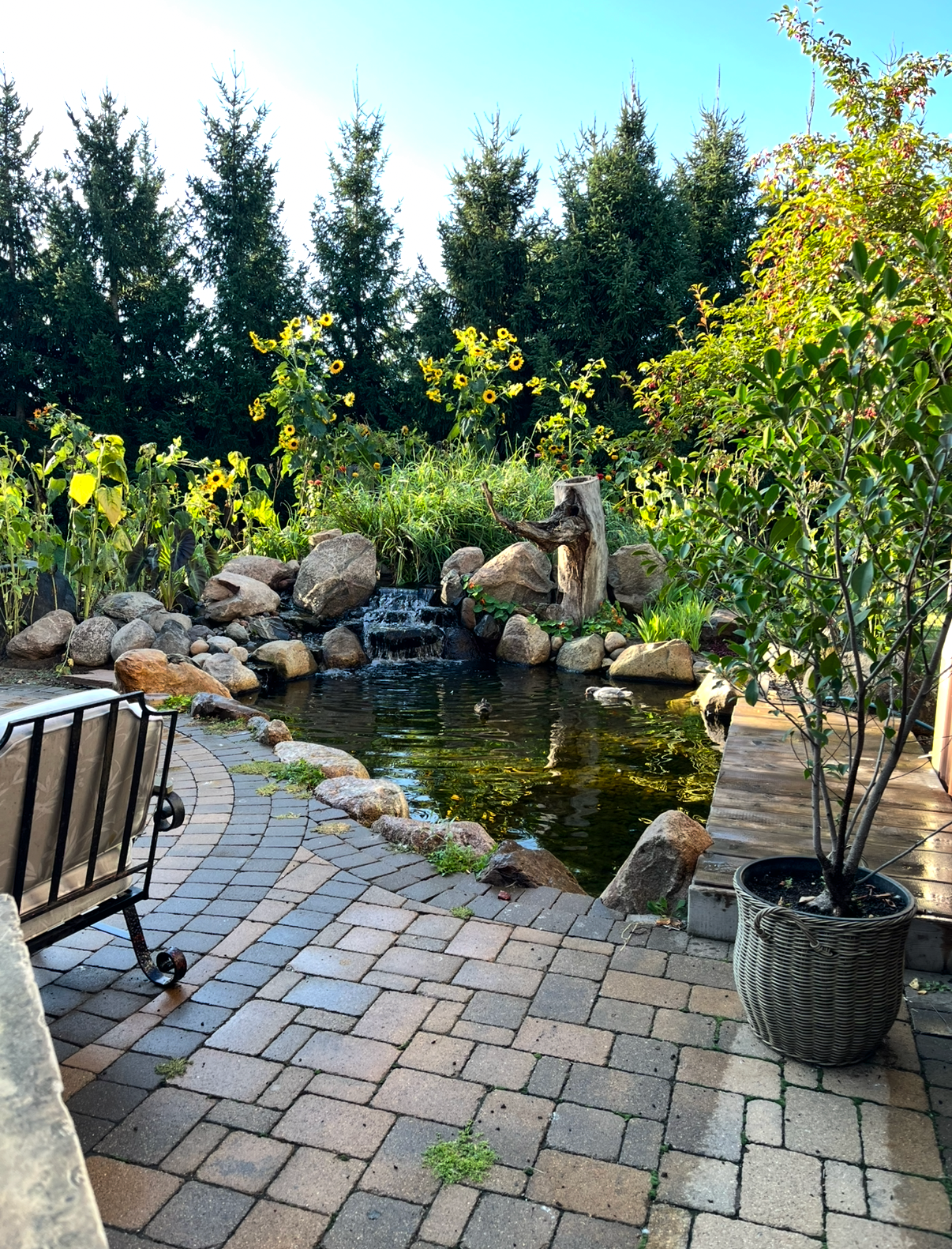 View of Residential at 7727 269th Avenue, Stacy MN 55079, Stacy (6 of 37) - Mike Wilen | Minnesota Team Real Estate