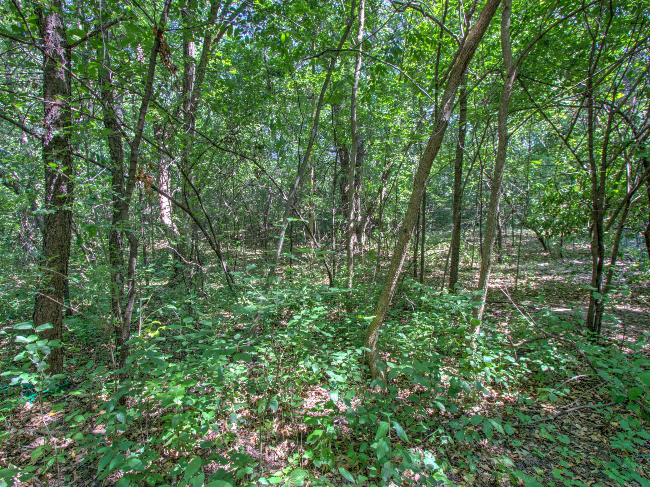 View of Land at TBD Sodium Street, Ramsey MN 55303, Ramsey (9 of 10) - Mike Wilen | Minnesota Team Real Estate