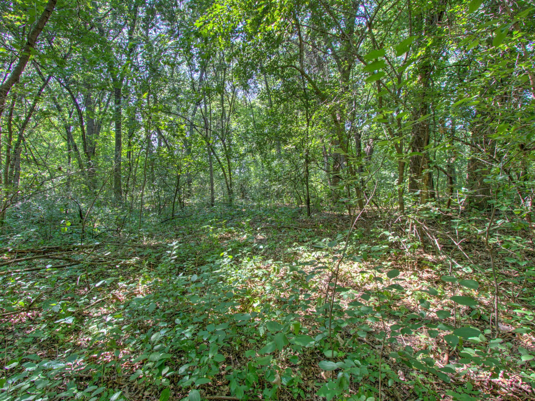 View of Land at TBD Sodium Street, Ramsey MN 55303, Ramsey (8 of 10) - Mike Wilen | Minnesota Team Real Estate