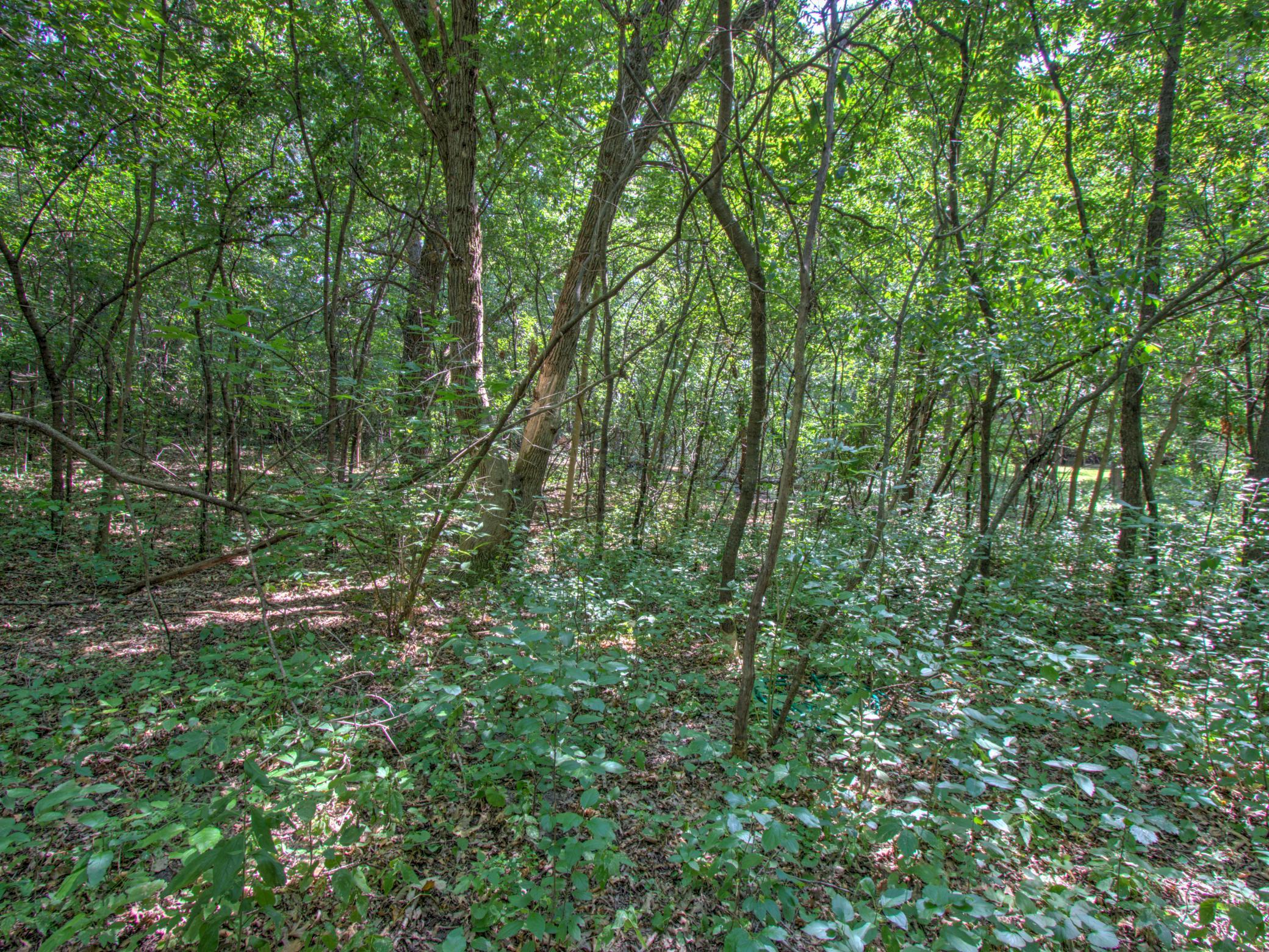 View of Land at TBD Sodium Street, Ramsey MN 55303, Ramsey (7 of 10) - Mike Wilen | Minnesota Team Real Estate